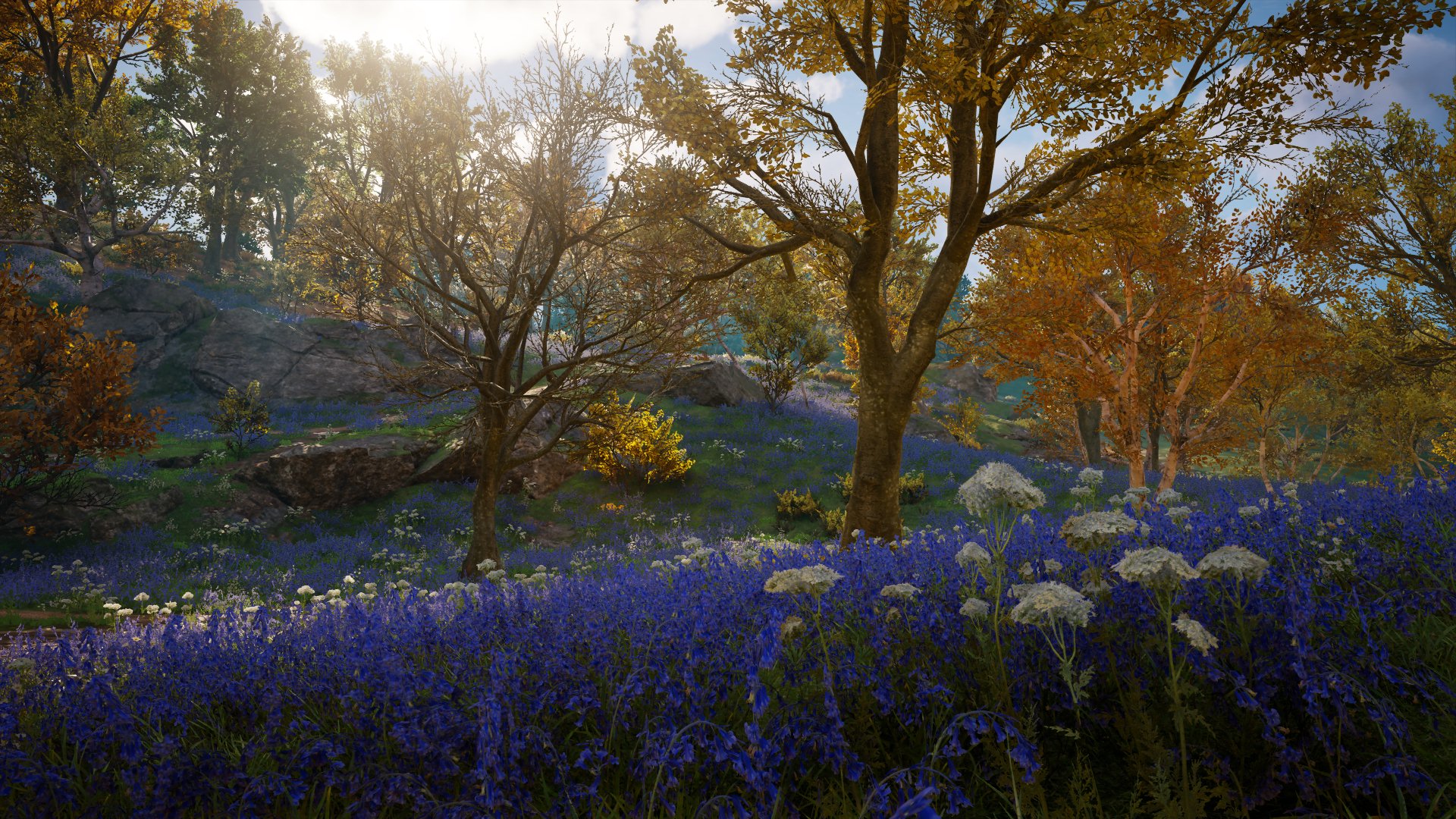 General 1920x1080 Assassin's Creed: Valhalla video games nature trees flowers Ubisoft