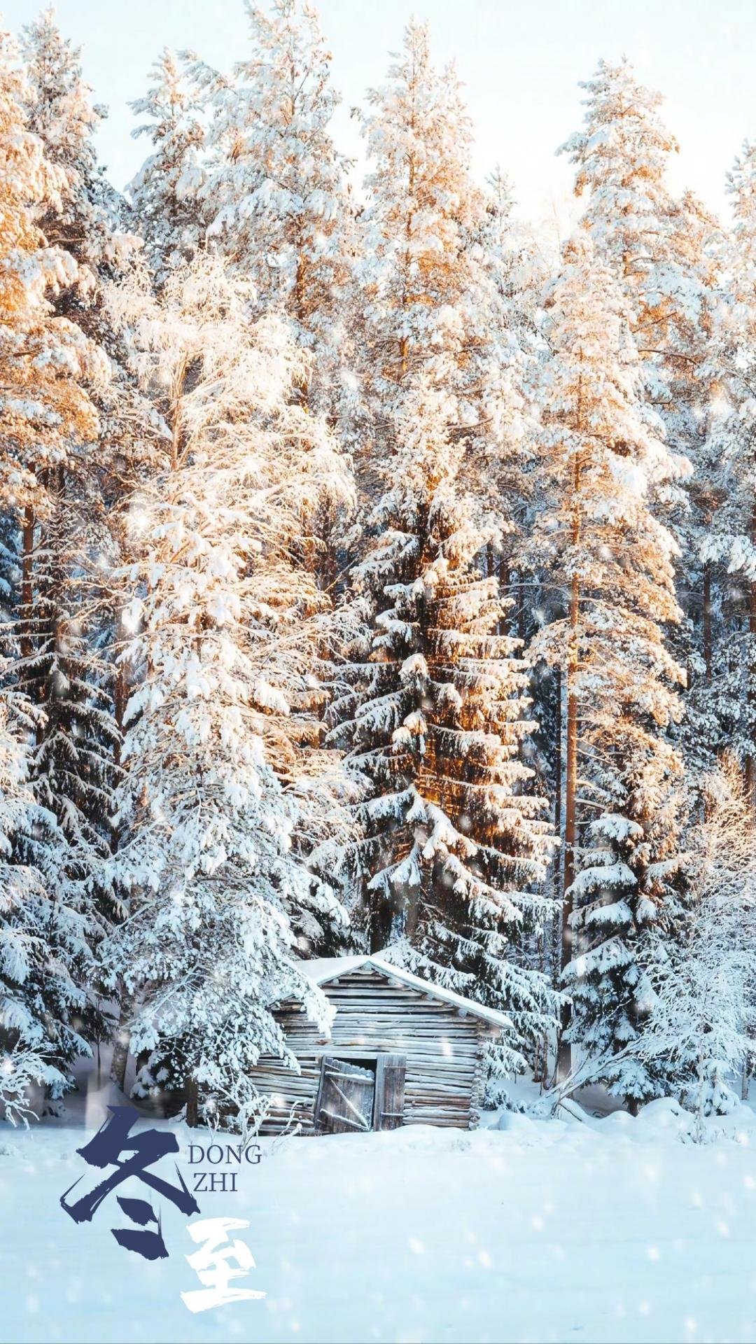 General 1080x1920 nature seasons trees snow portrait display