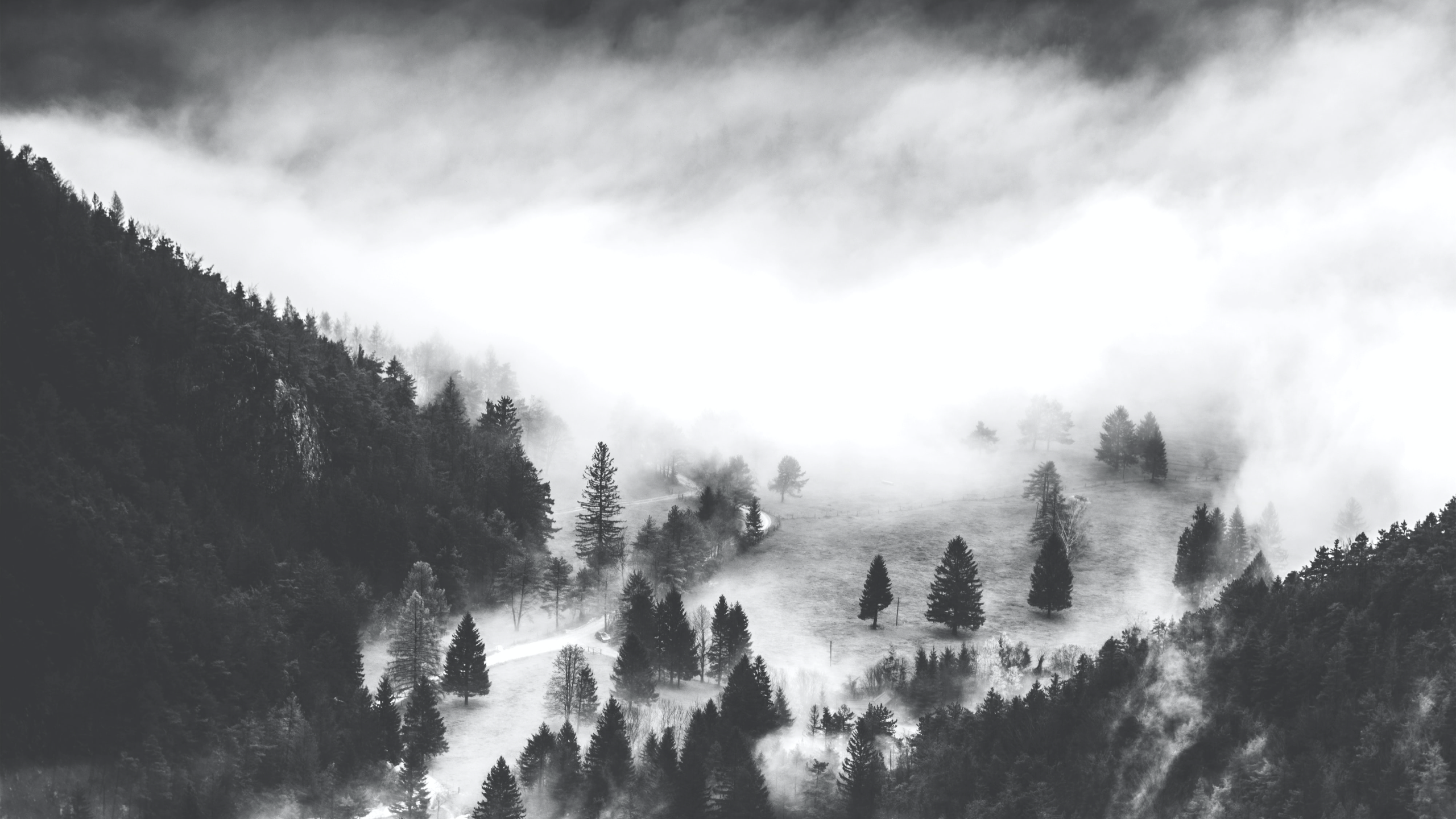 General 2560x1440 nature landscape trees mountains forest fog monochrome