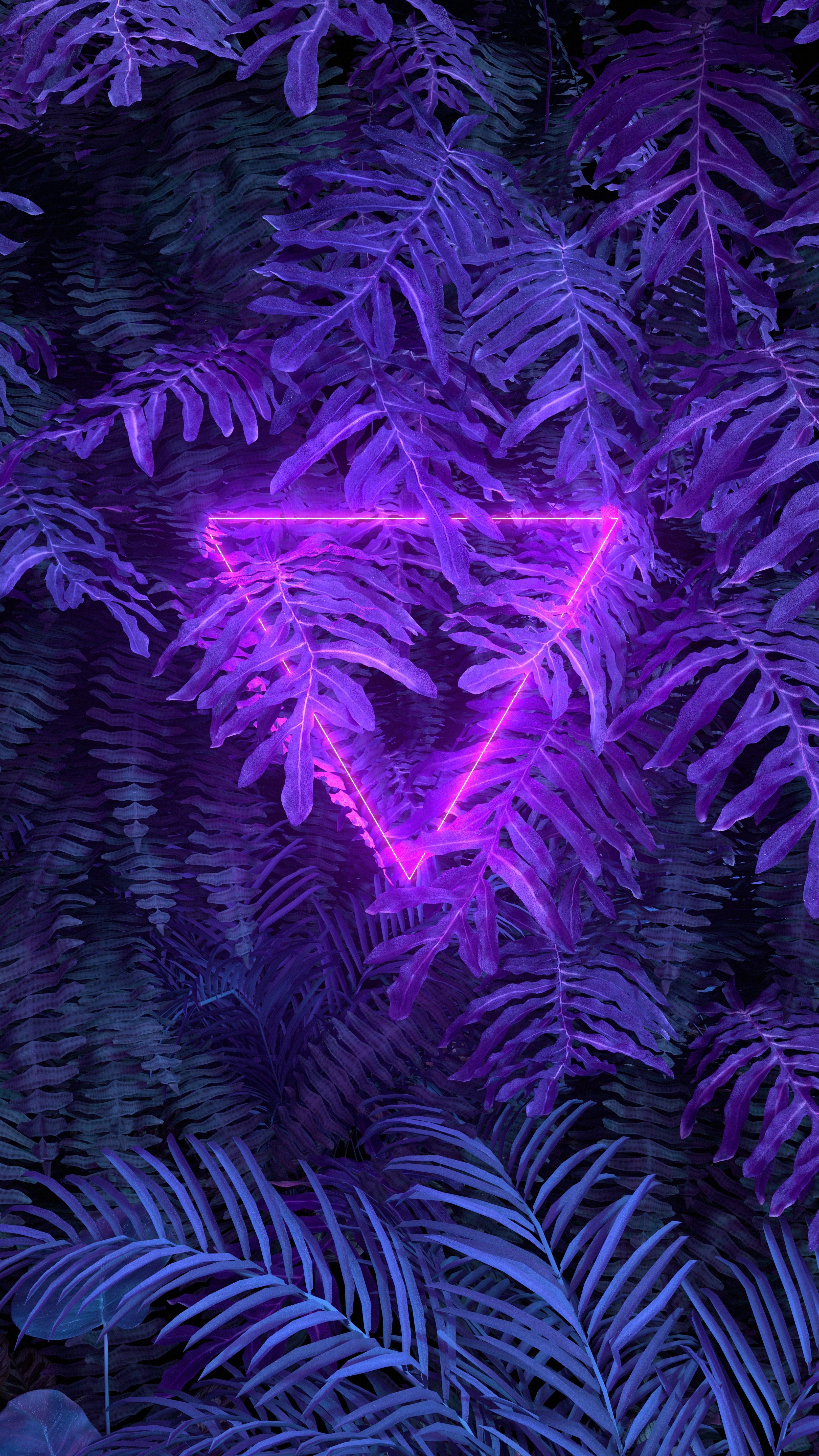 General 3240x5760 exotic leaves neon blue pink bright neon sign triangle ferns