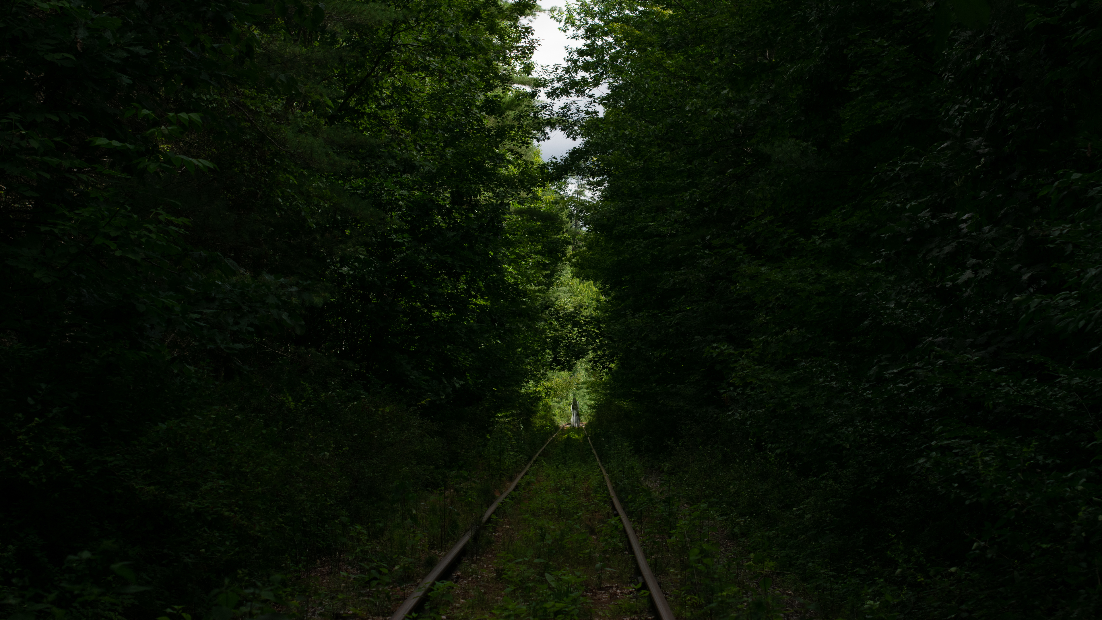 General 3840x2160 railway overgrown forest green nature ghost