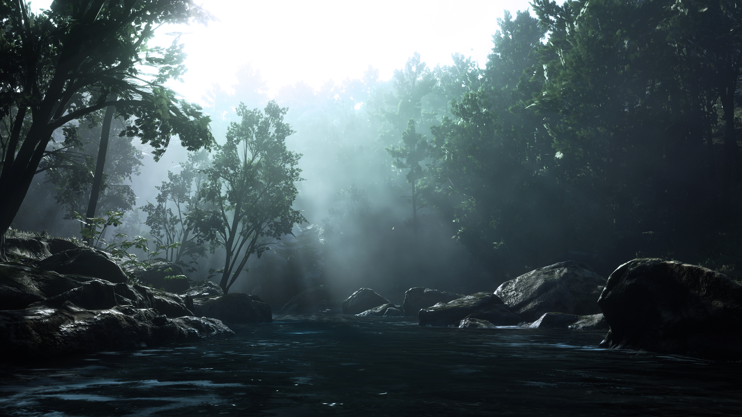 General 2560x1440 Red Dead Redemption 2 mist river nature forest video game art video games trees sunlight water CGI rocks