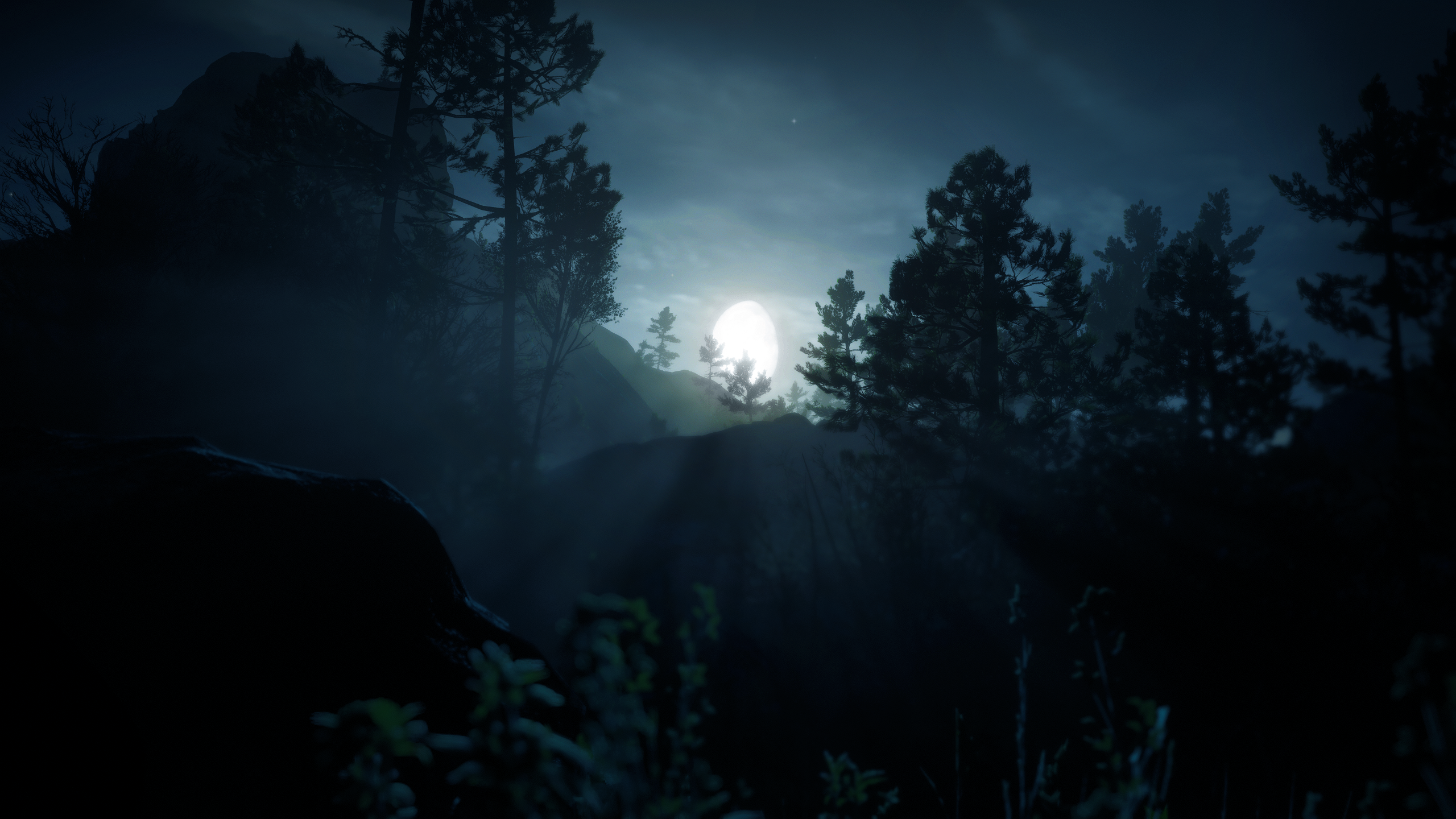 General 2560x1440 moon rays nature Red Dead Redemption 2 mist video game art video games night Moon moonlight sky clouds trees