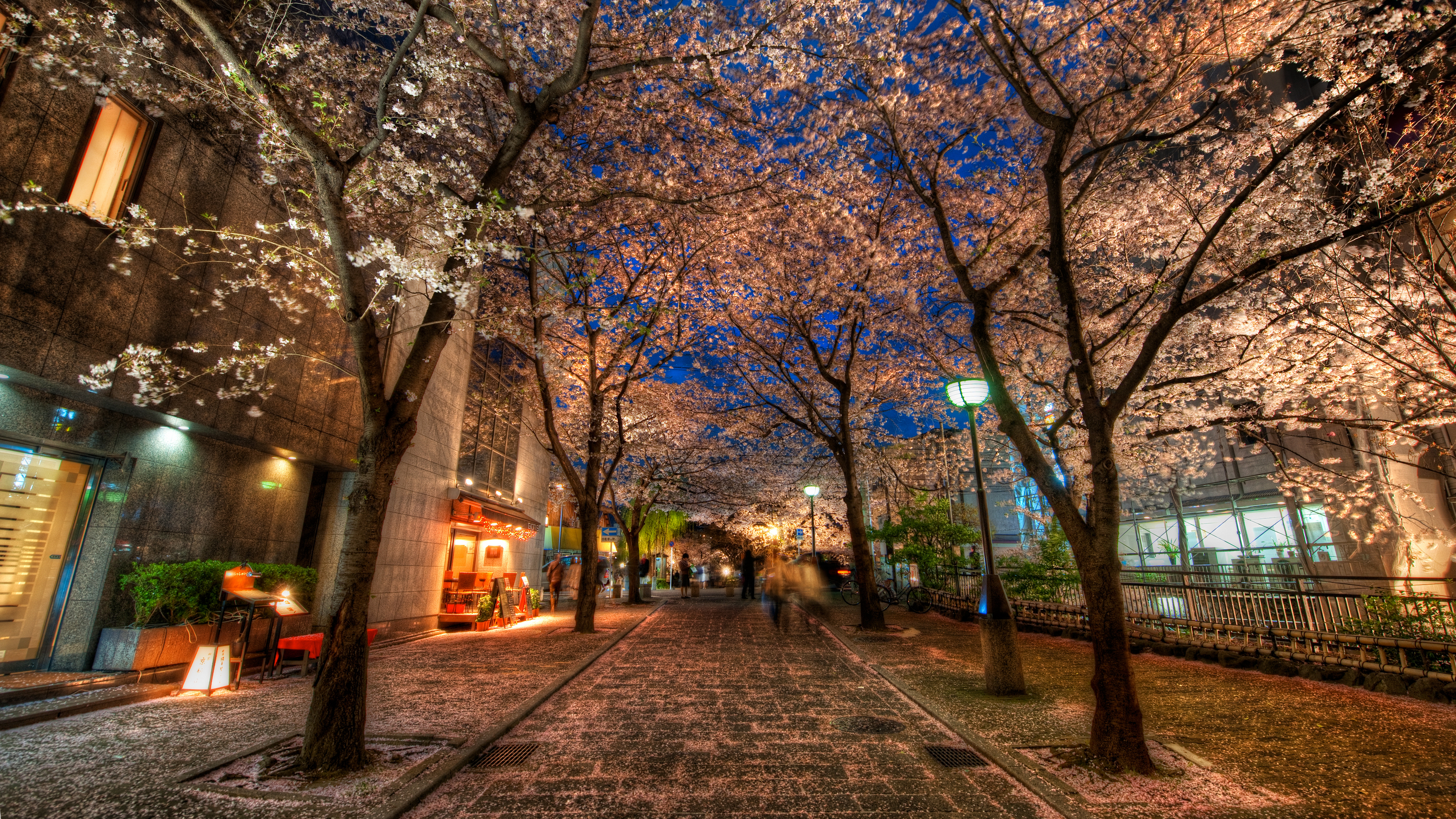 General 3840x2160 Trey Ratcliff photography Asia Japan Kyoto street trees street light spring