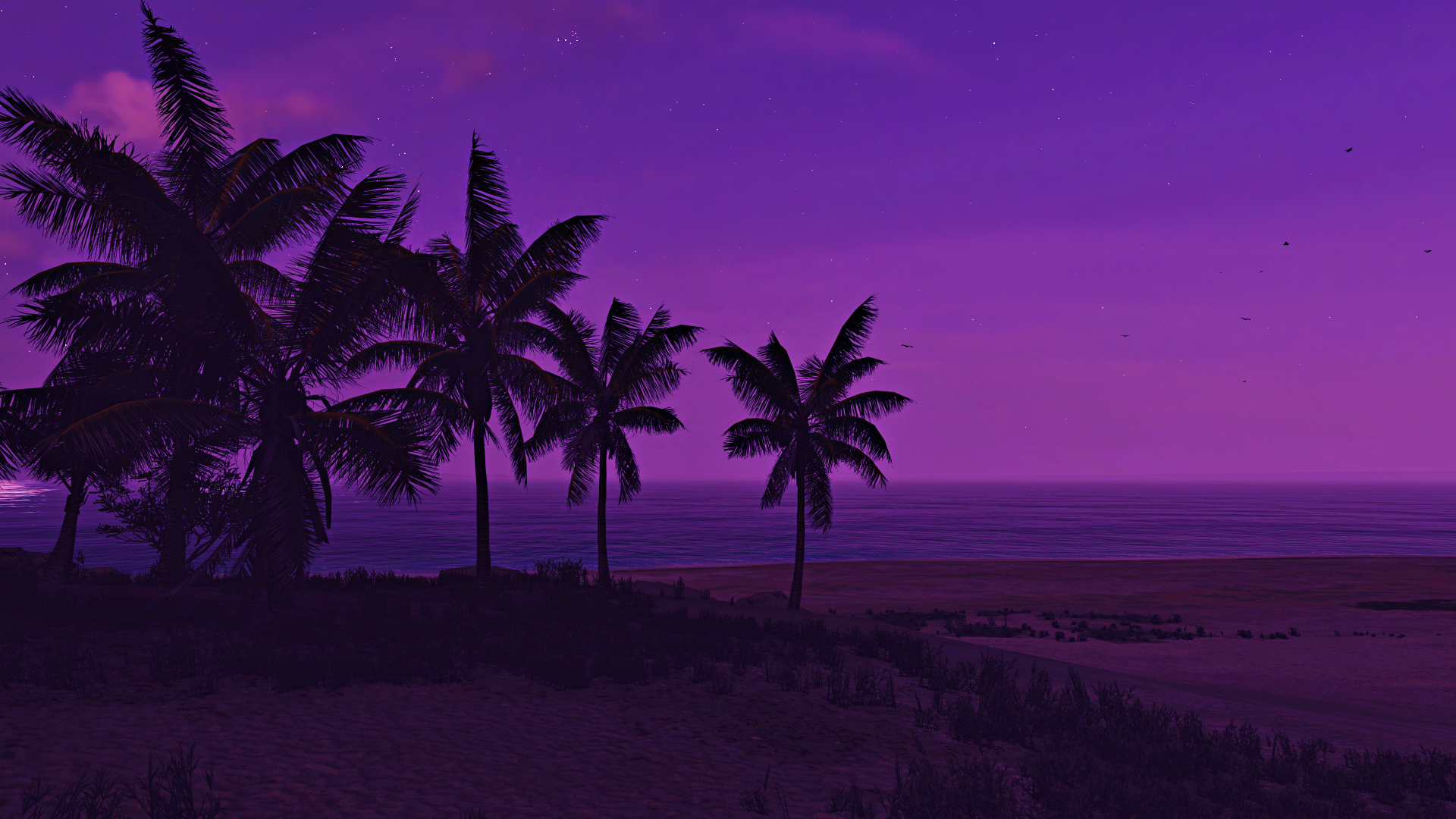 General 1920x1080 video games Forza Forza Horizon 5 sky sea beach palm trees night purple Turn 10 Studios PlaygroundGames Xbox Game Studios