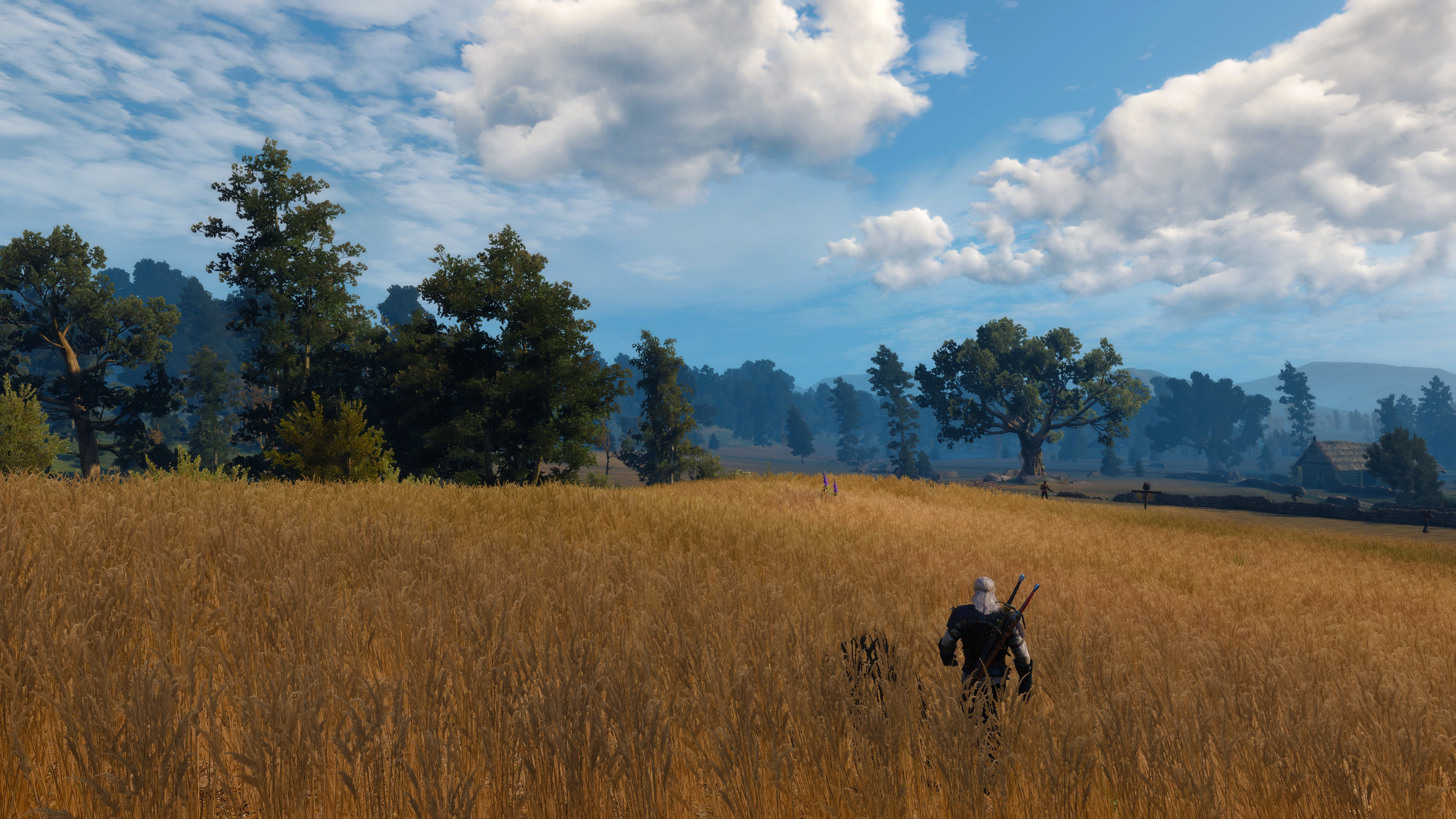 General 3840x2160 The Witcher 3: Wild Hunt screen shot PC gaming video game art clouds video games walking video game characters CGI video game men trees outdoors men outdoors sunlight field sky white hair landscape