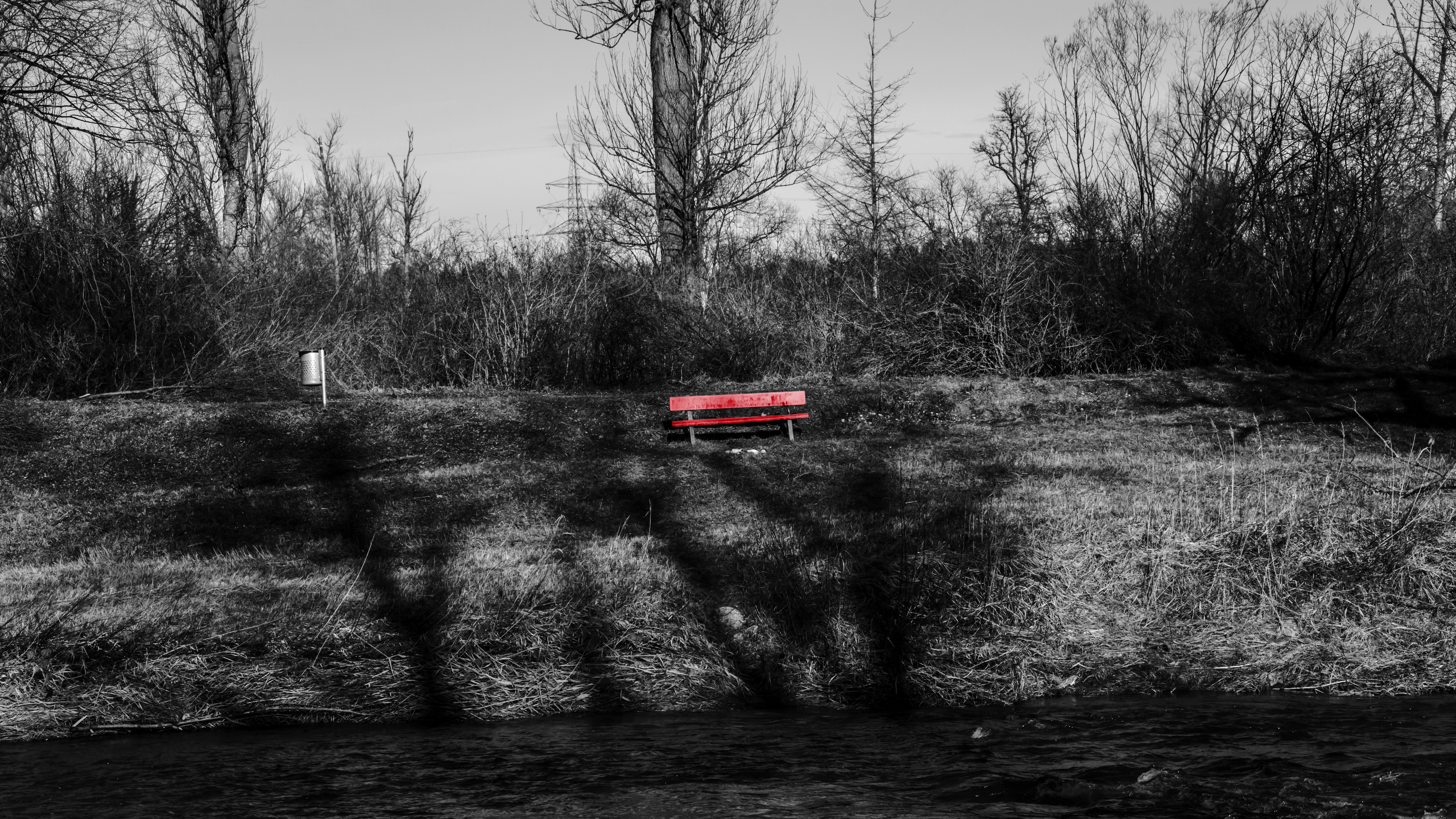General 6000x3376 selective coloring bench trees outdoors river grass monochrome photography