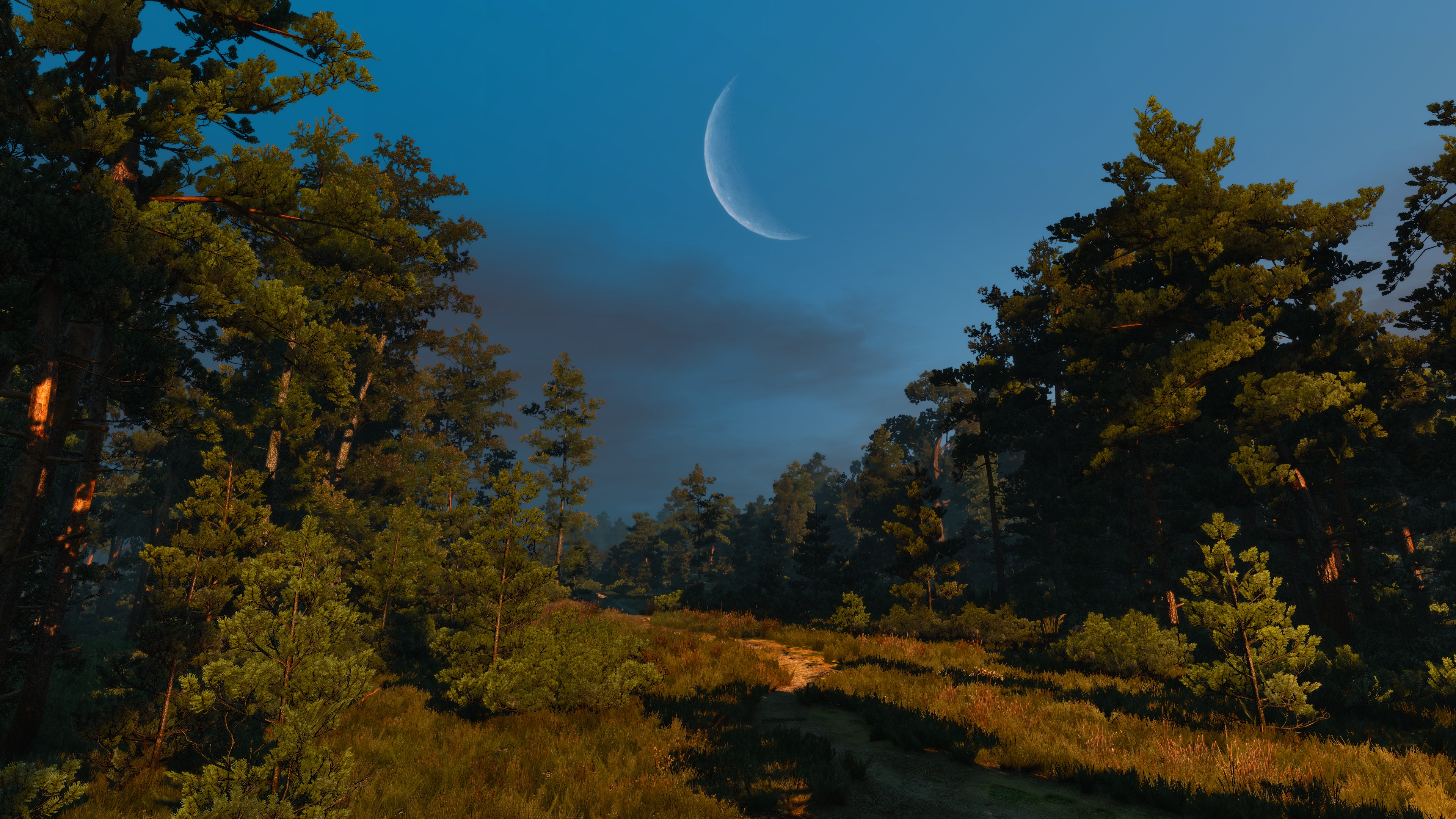 General 3840x2160 The Witcher 3: Wild Hunt PC gaming screen shot forest evening sky video game art Moon video games nature CGI trees grass plants
