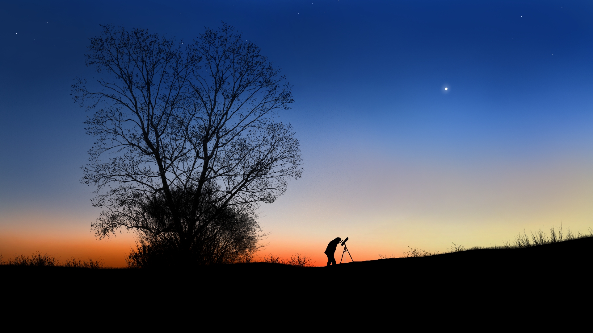 General 1920x1080 digital painting digital art silhouette twilight stargazing landscape sunset sunset glow sky stars starry night trees