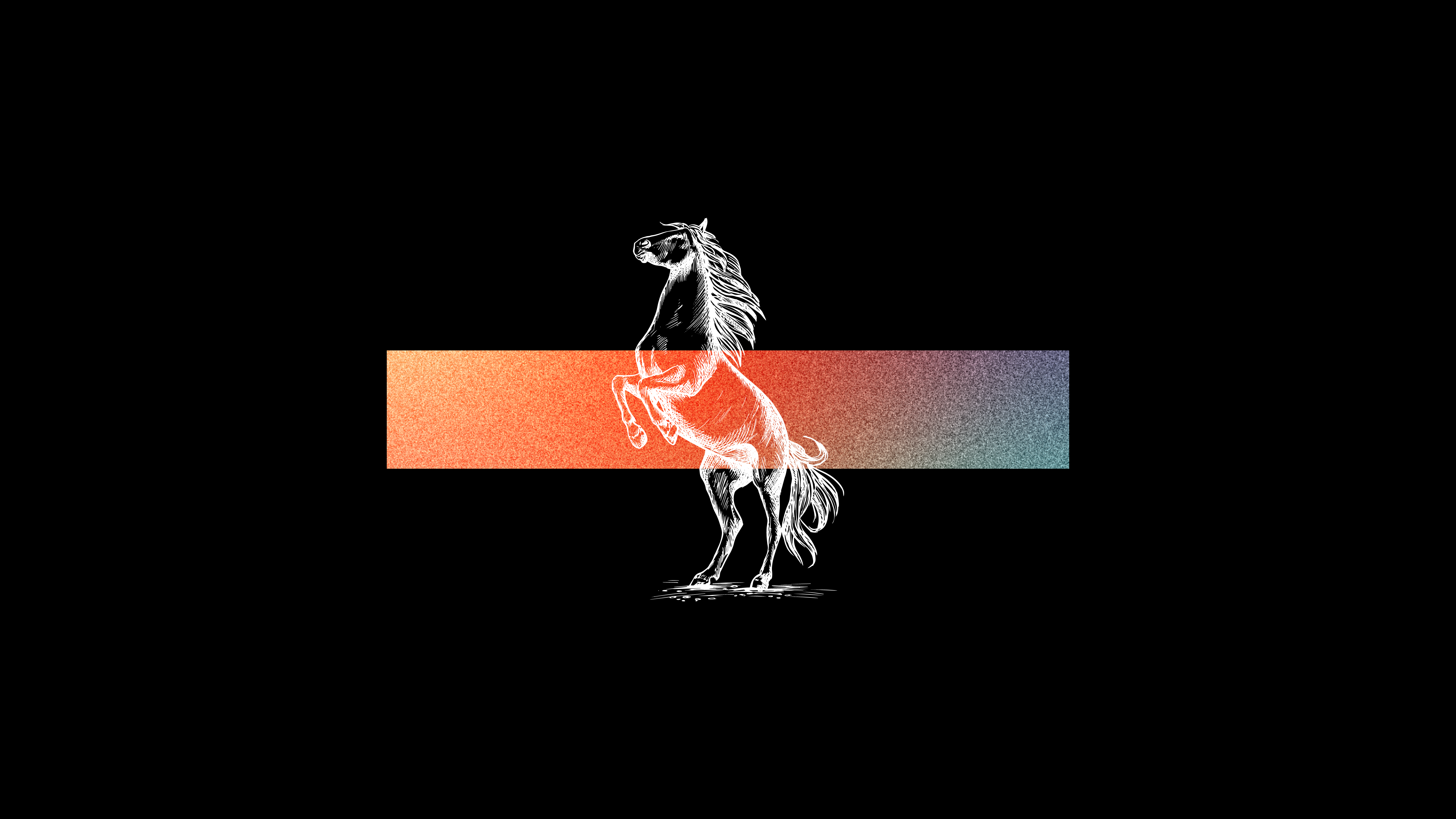 General 6000x3375 abstract simple background horseback minimalism horse animals