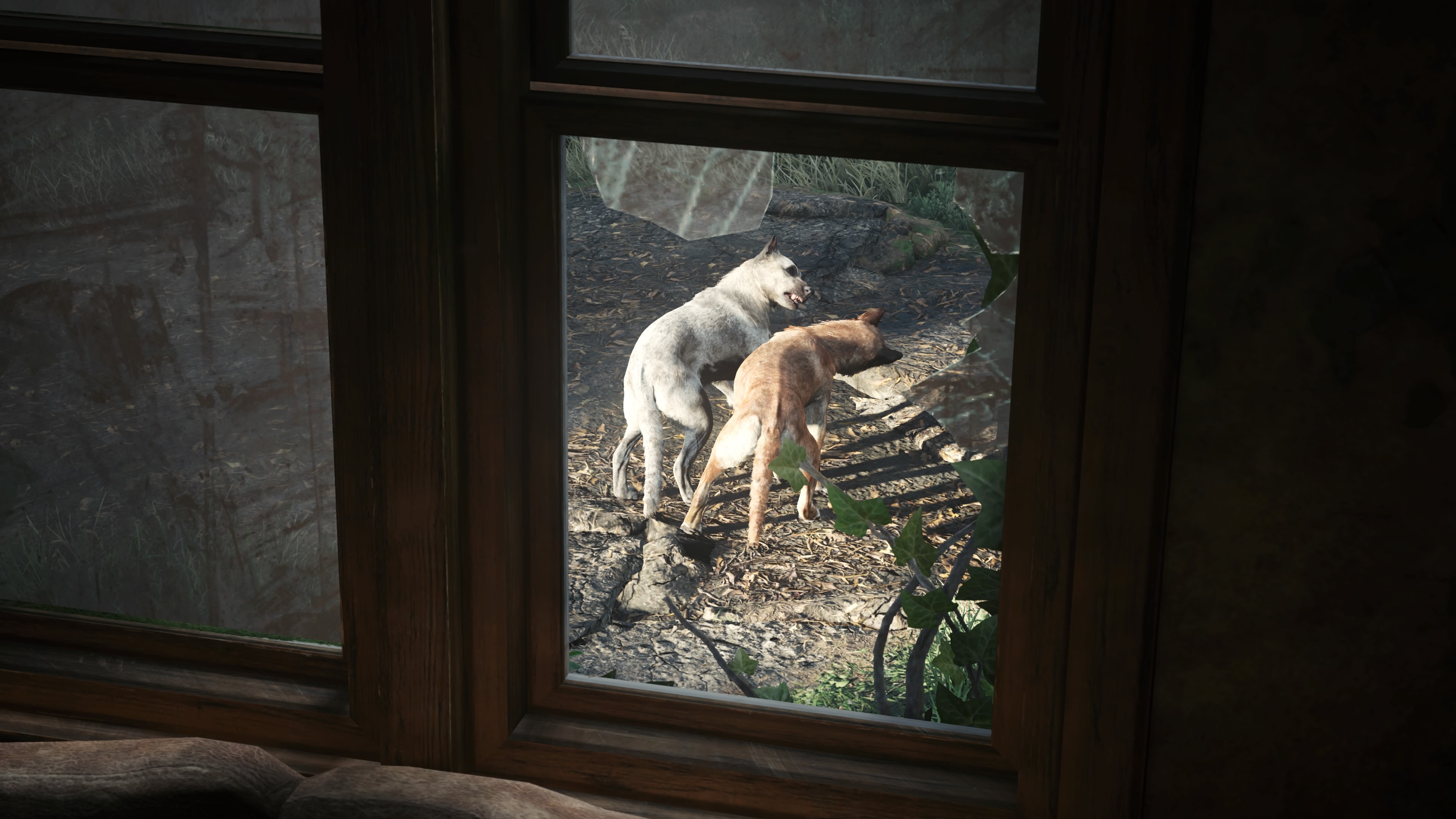 General 3840x2160 The Last of Us Naughty Dog PlayStation Playstation 5 dog video game art screen shot video games CGI animals