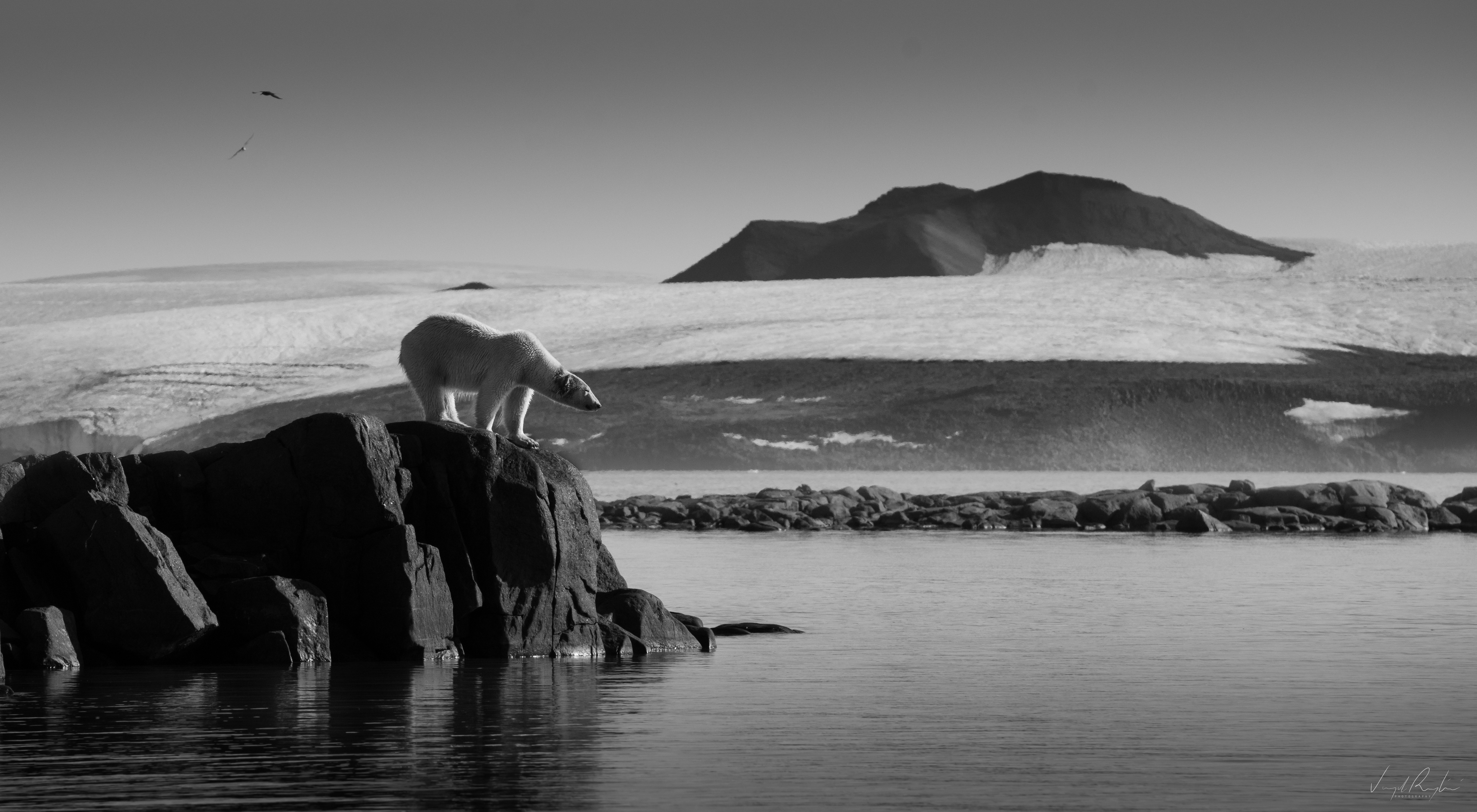 General 5119x2814 photography Virgil Reglioni nature sky snow ice environment clear sky frost calm waters landscape rocks winter cold rock formation nordic landscapes polar bears monochrome depth of field wilderness watermarked Norway Svalbard