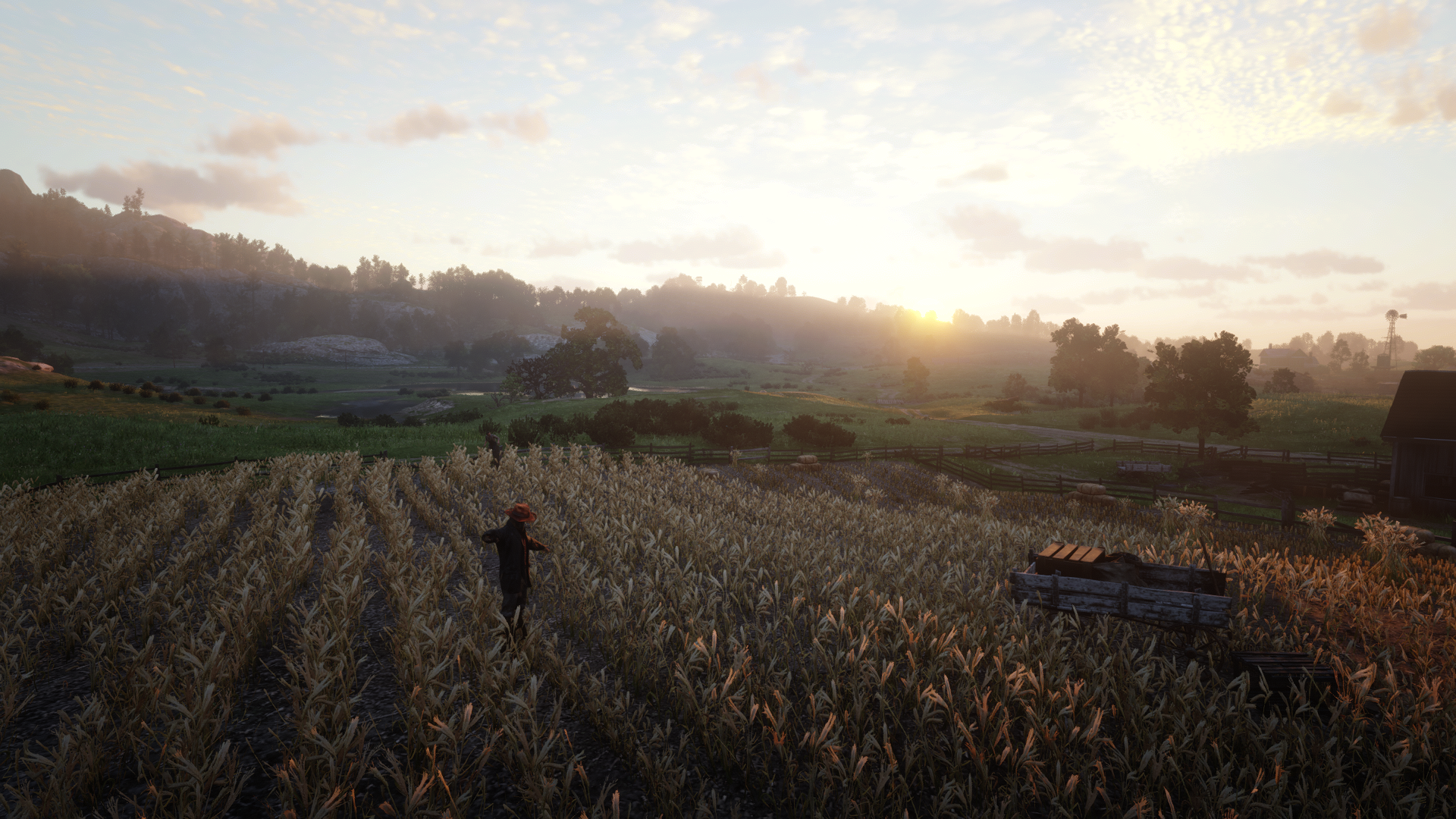 General 1920x1080 Red Dead Redemption 2 video games scarecrows farm wheat trees