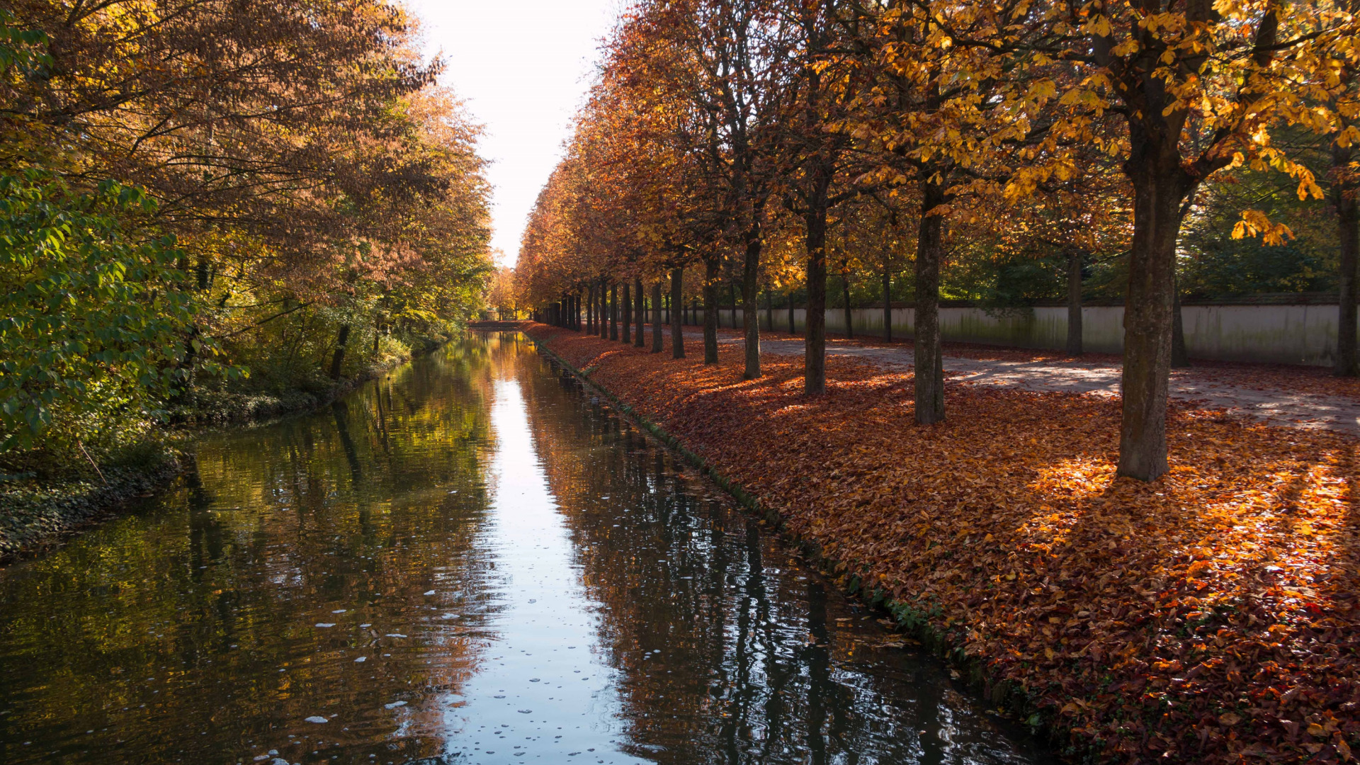 General 1920x1080 nature landscape water trees fall fallen leaves river Germany park
