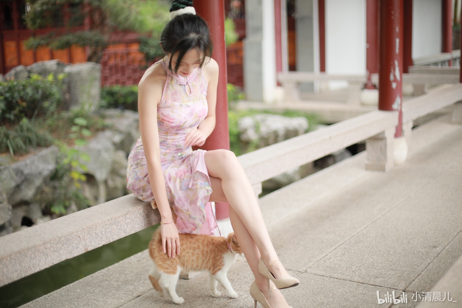 People 1620x1080 Chinese Asian Chinese women women legs high heels sitting pale model heels legs crossed animals cats