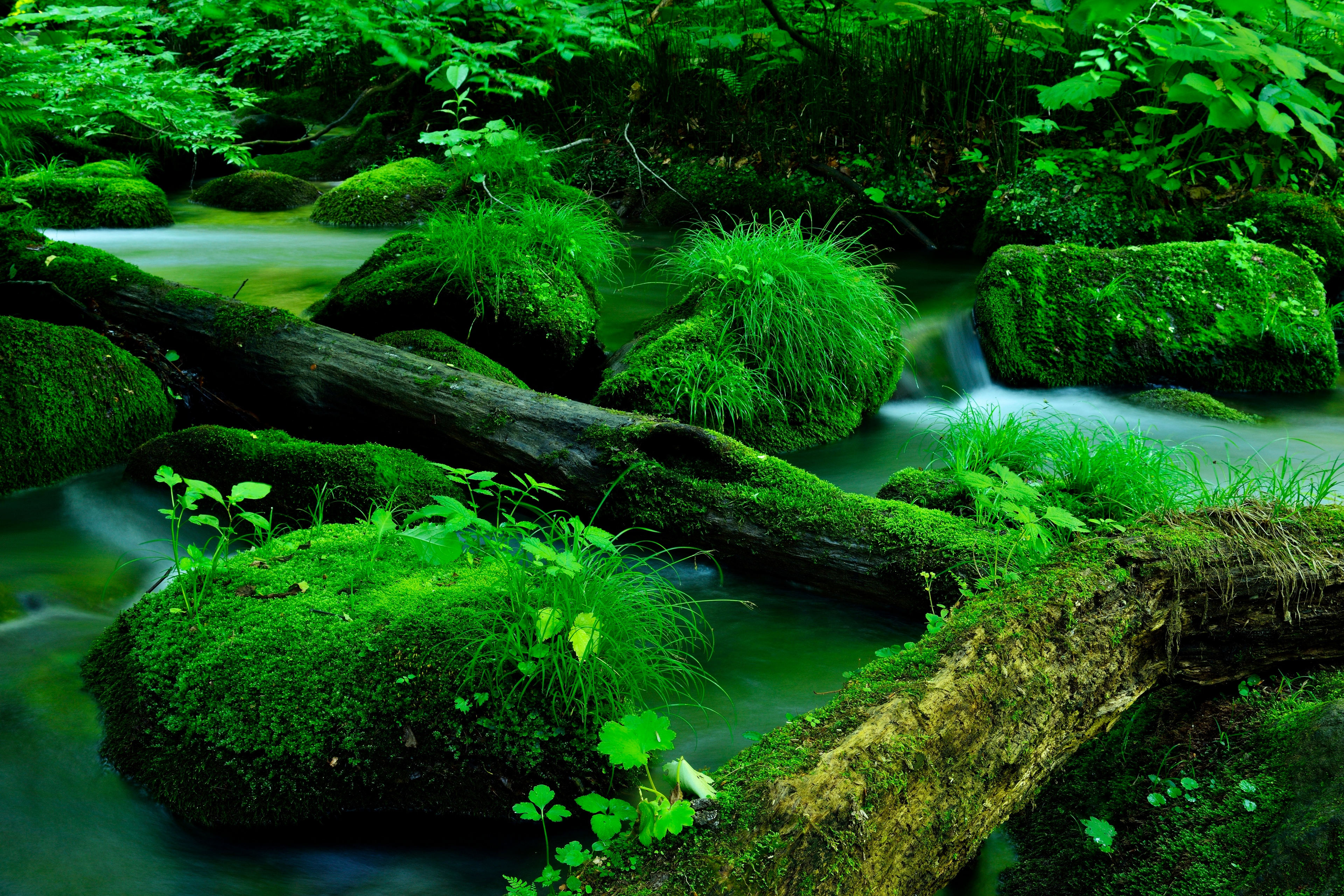 General 3840x2560 nature stream stones wood moss water long exposure
