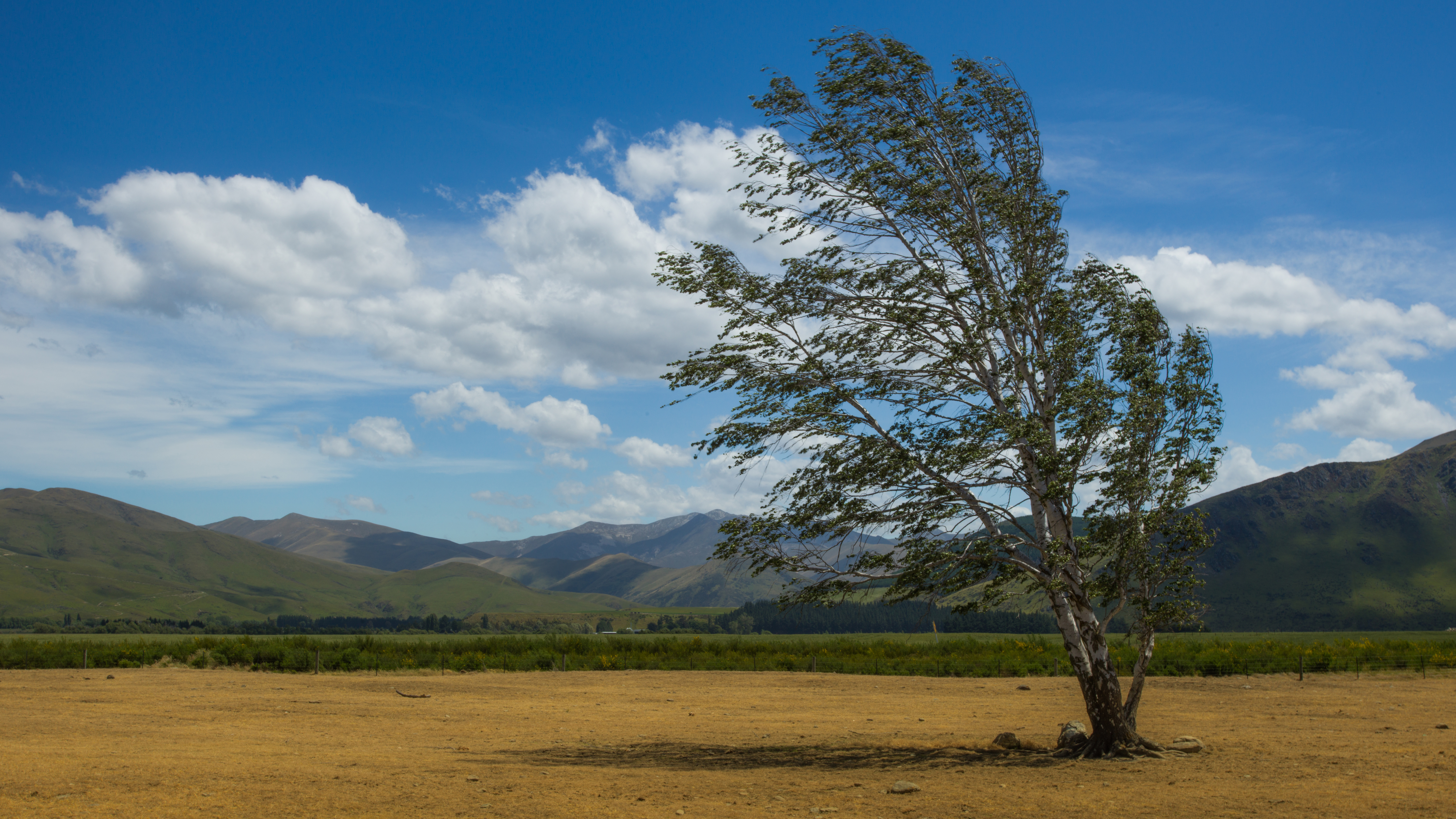 General 7680x4320 photography Trey Ratcliff landscape New Zealand mountains trees field nature clouds