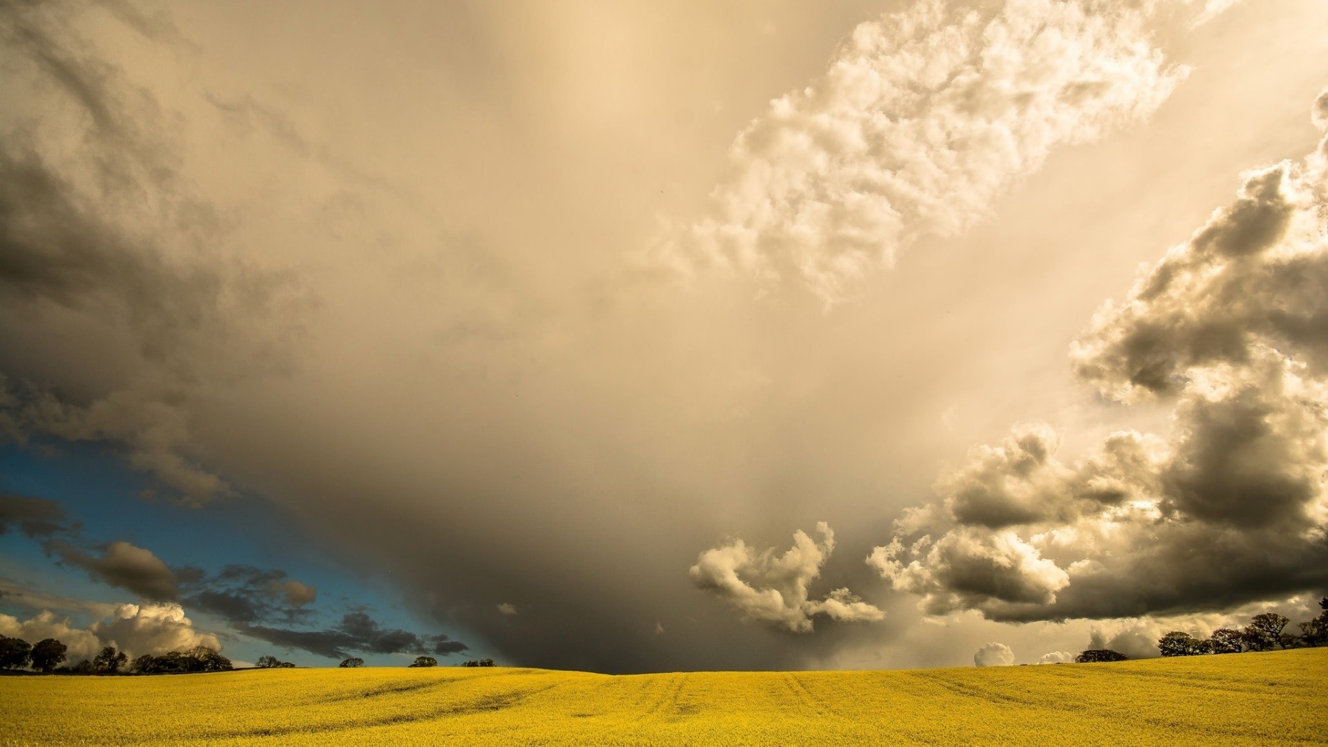 General 1920x1080 sky clouds field nature landscape yellow