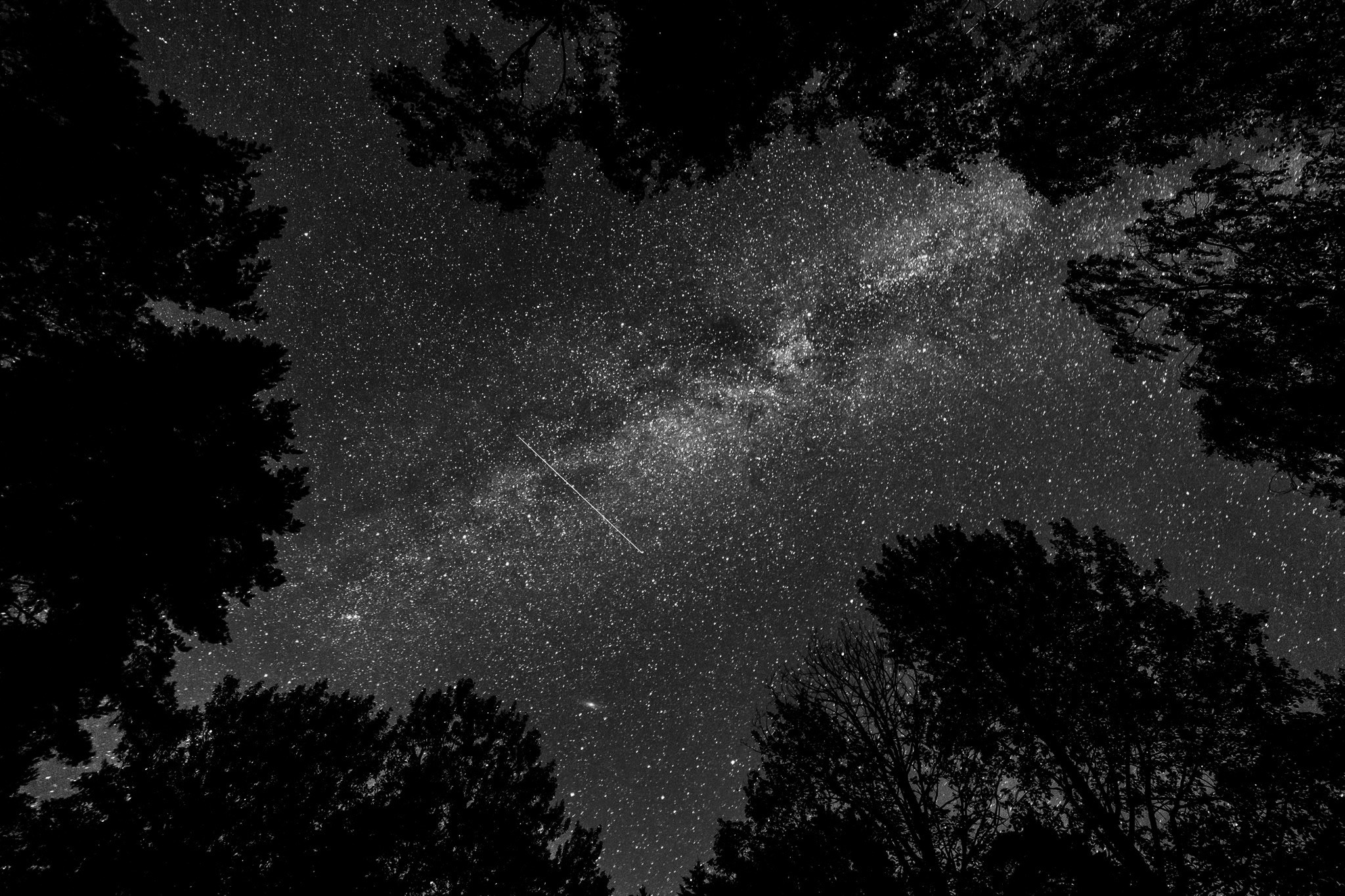 General 2048x1365 stars space black nature looking up monochrome worm's eye view sky