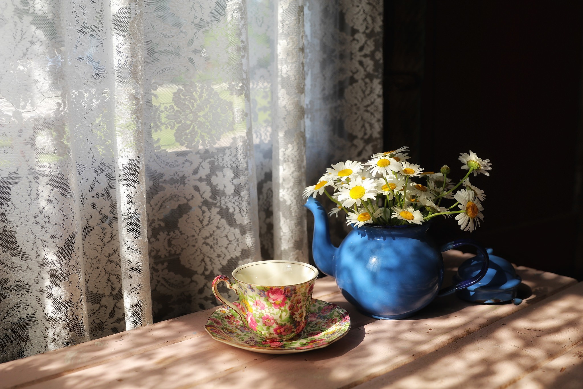 General 2048x1365 curtains flowers cup still life indoors