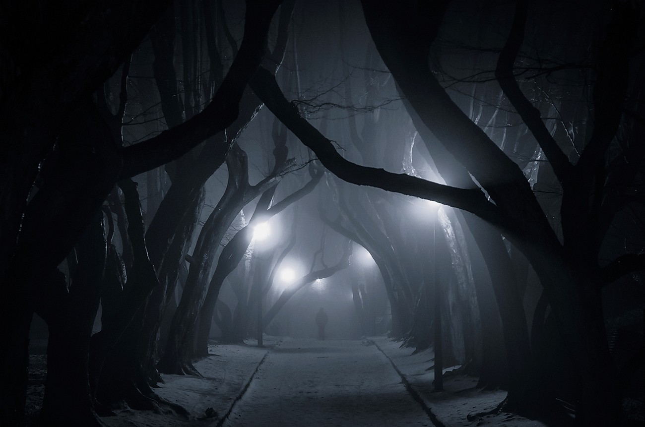 General 1300x861 nature dark trees urban lantern snow mist street light night tunnel Poland branch