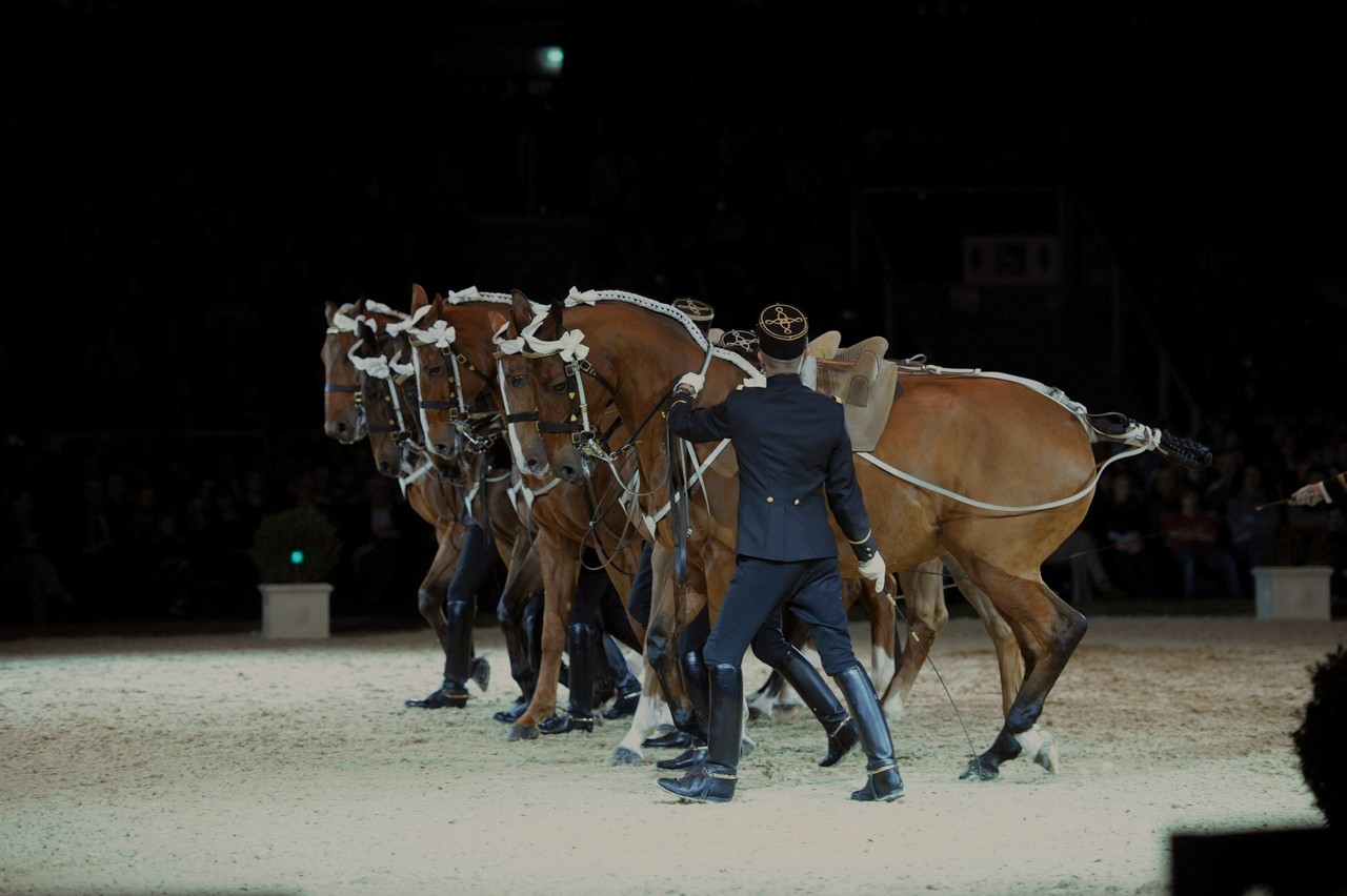 People 1280x852 horse Saumur equitation France animals mammals men