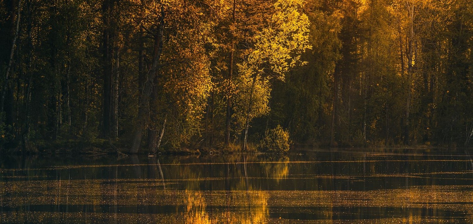 General 1622x770 photography landscape nature lake forest fall trees reflection calm waters sunset yellow leaves warm colors