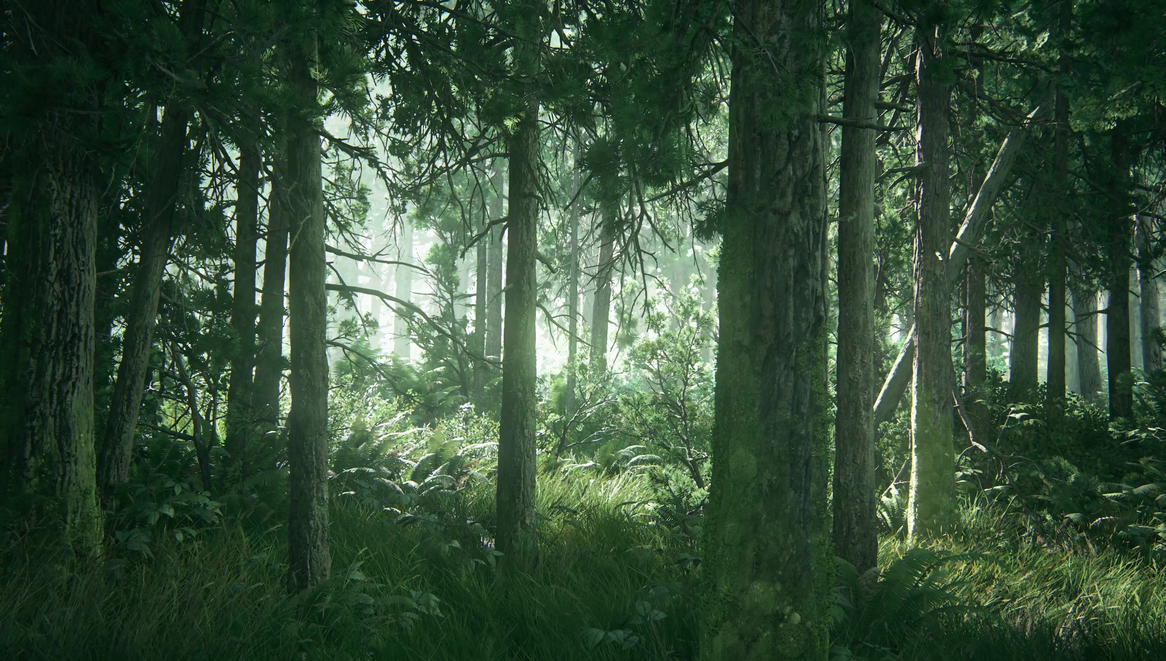 General 3840x2178 The Last of Us video games forest
