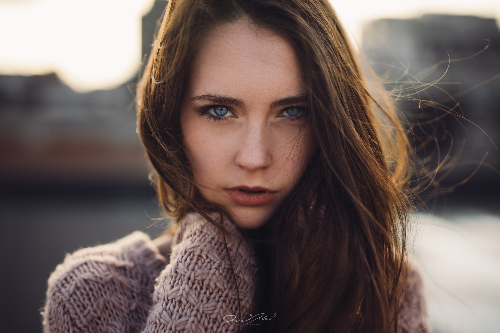 People 2048x1365 women portrait blue eyes depth of field women outdoors David Milev face model