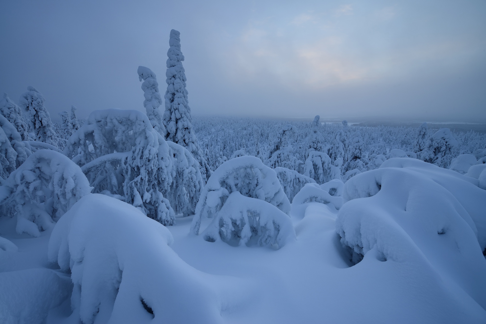 General 2000x1335 Finland nature snow winter