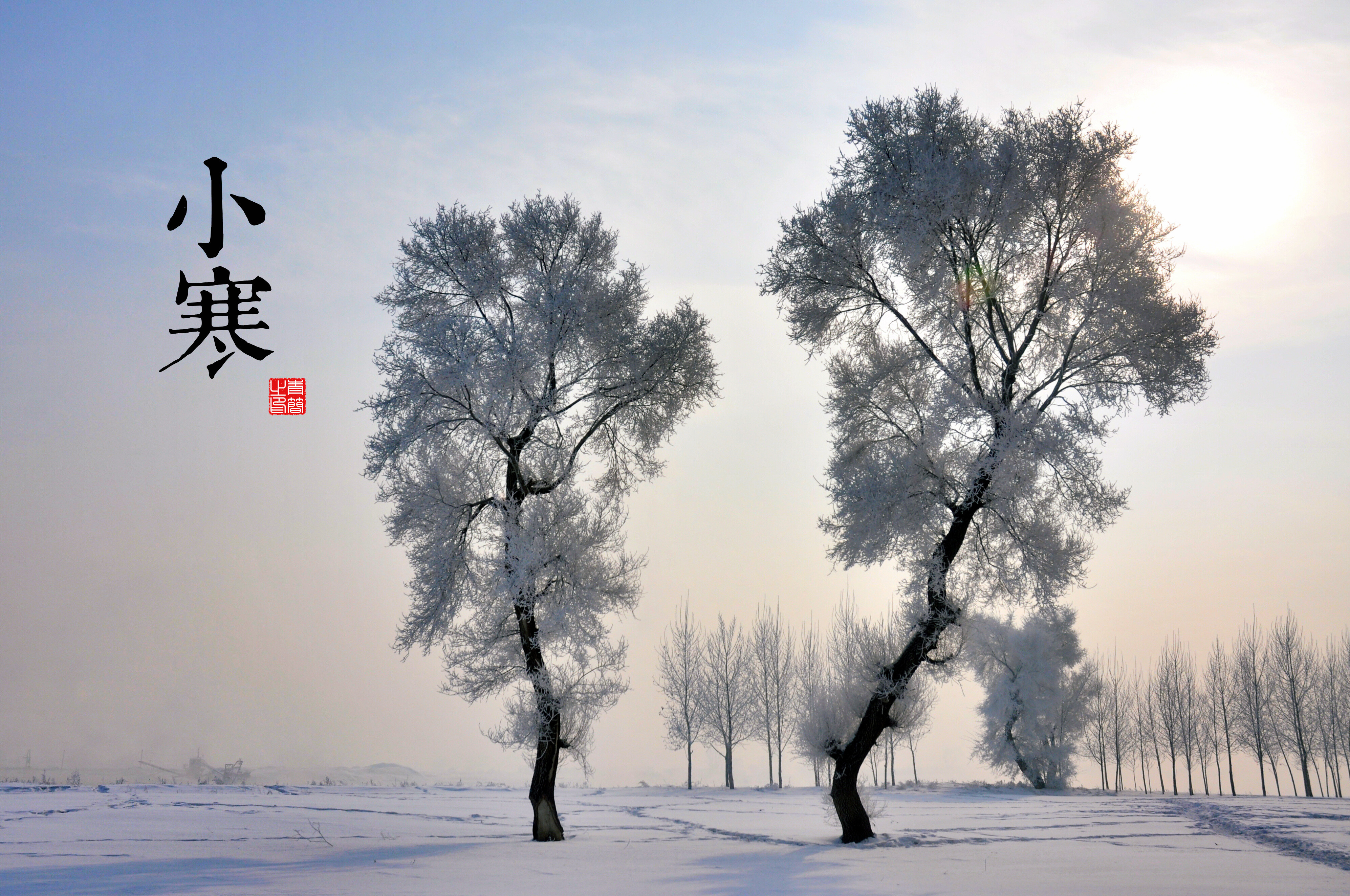 General 3988x2648 snow trees kanji