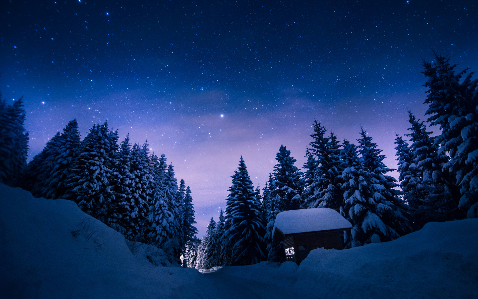 General 1920x1200 nature winter snow night stars trees forest cabin path blue starry night sky