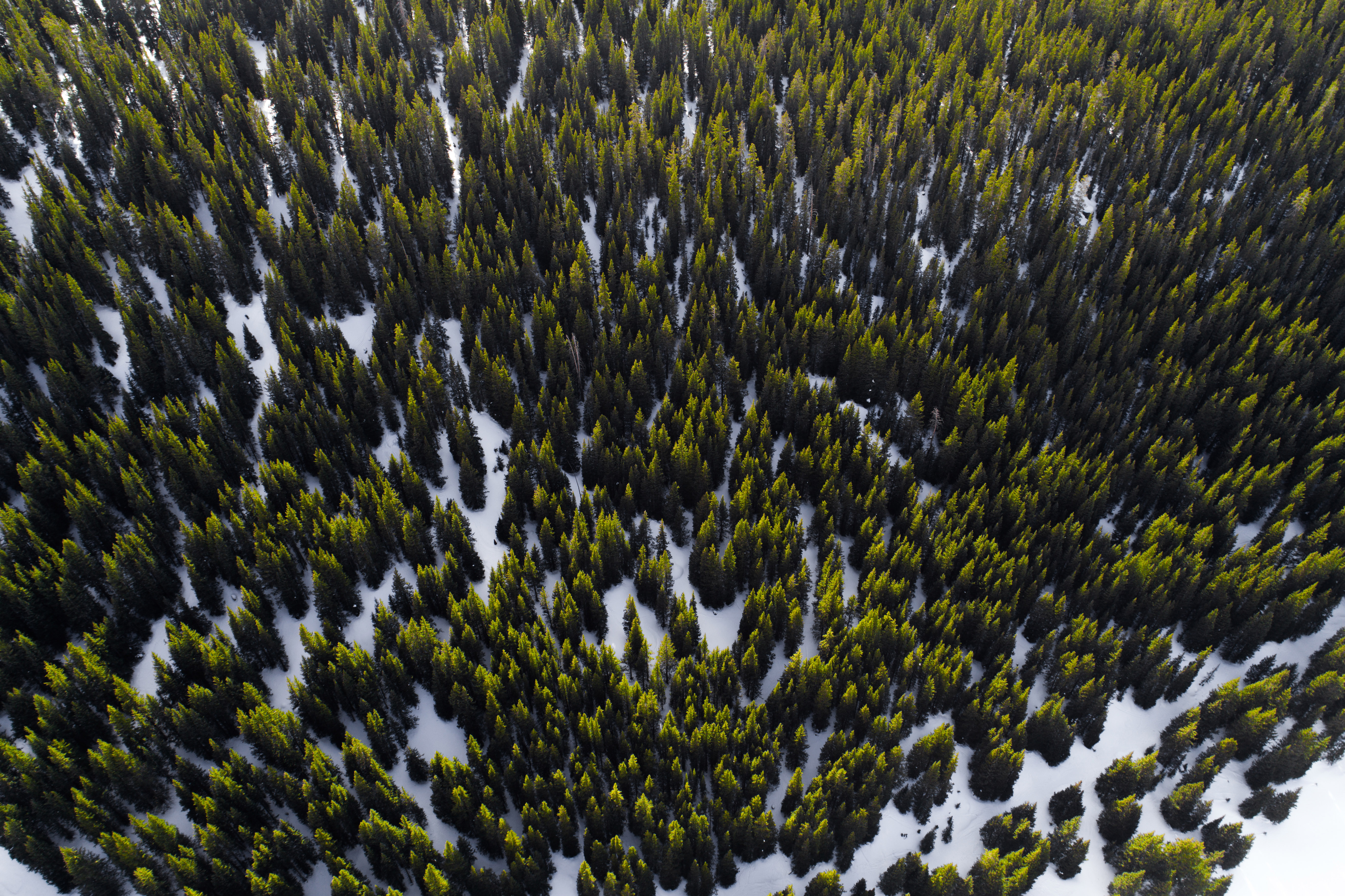 General 5464x3640 aerial view blurred cold conifer growth angle landscape nature outdoors pattern snow seasons texture