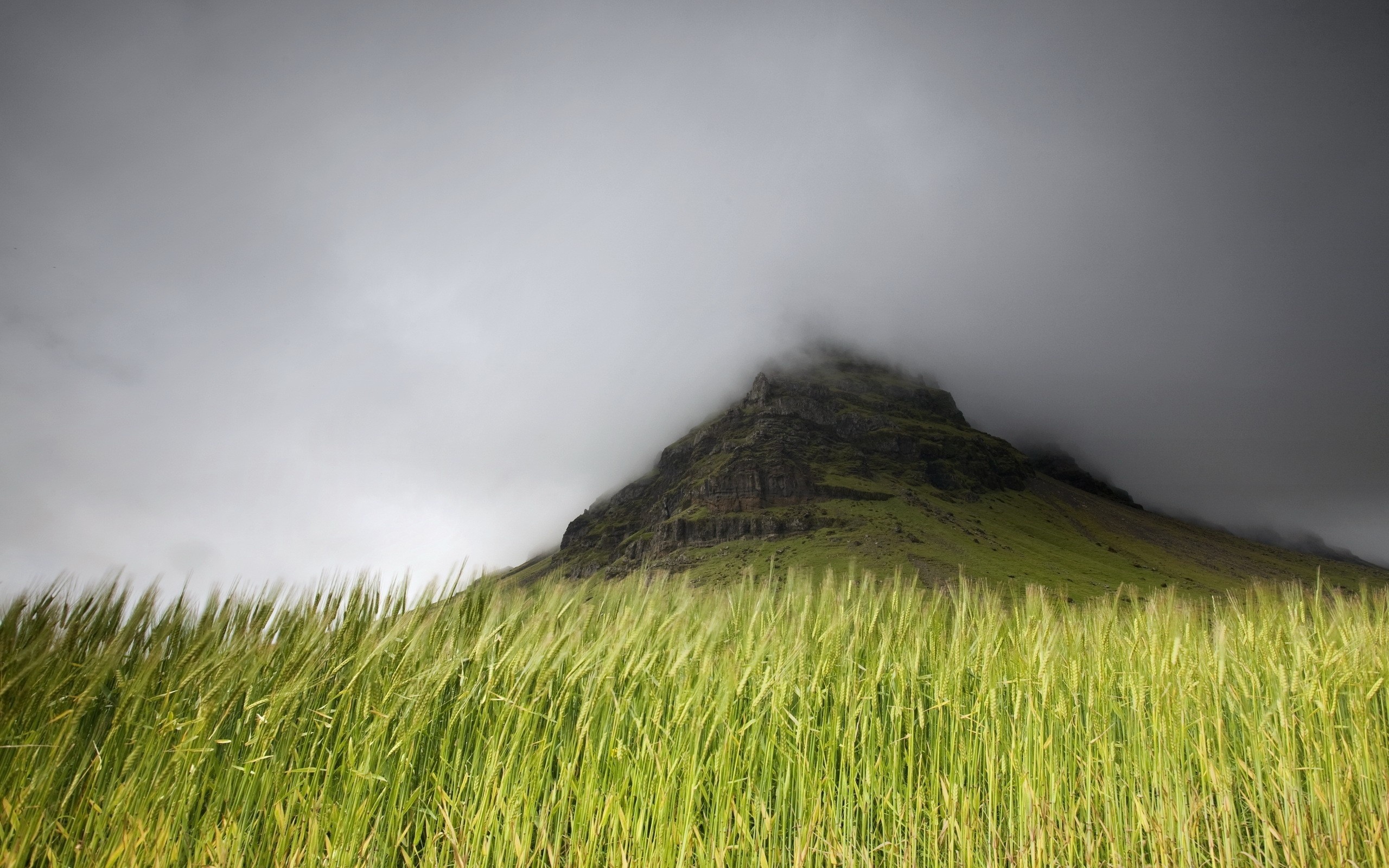 General 2560x1600 mist mountains grass clouds nature photography depth of field landscape plants