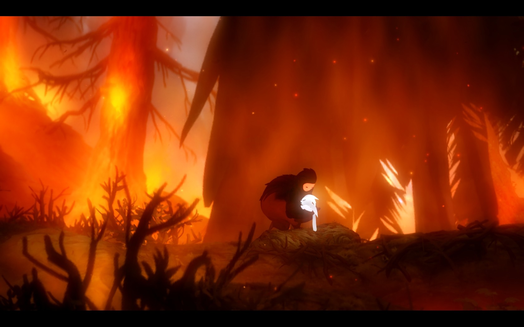 General 1680x1050 Ori and the Blind Forest fire trees video games screen shot