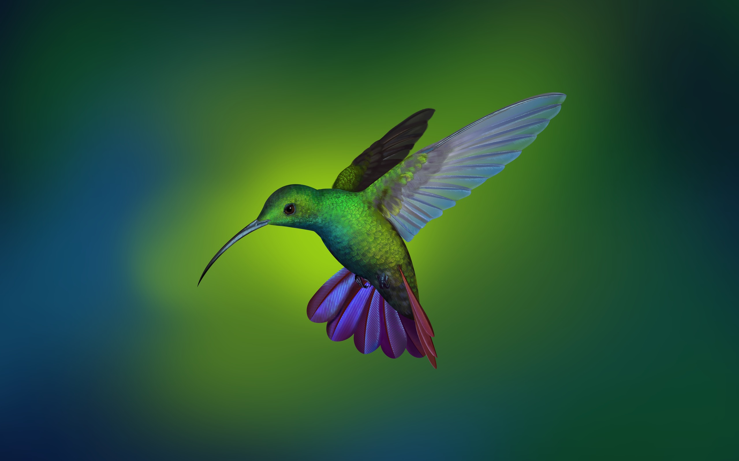 General 2560x1600 hummingbirds Linux animals birds closeup