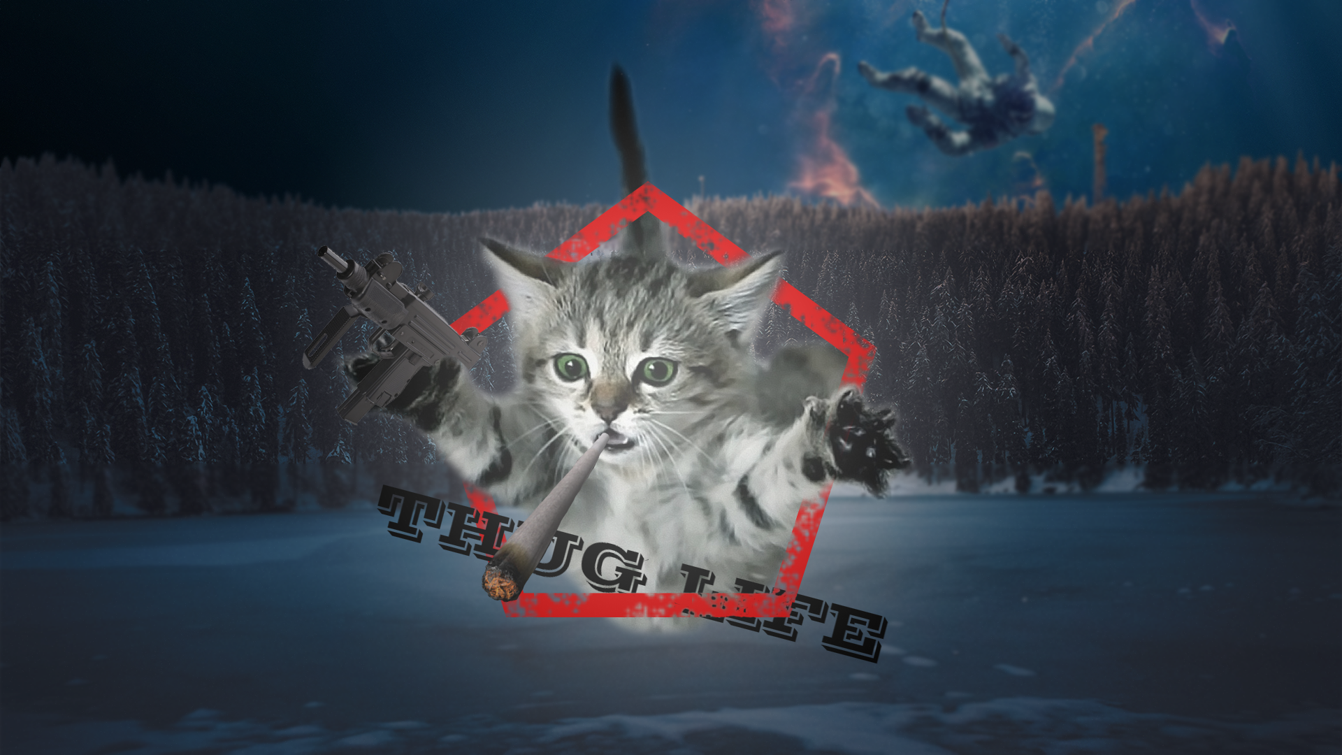 General 1920x1080 cats gangster astronaut forest lake