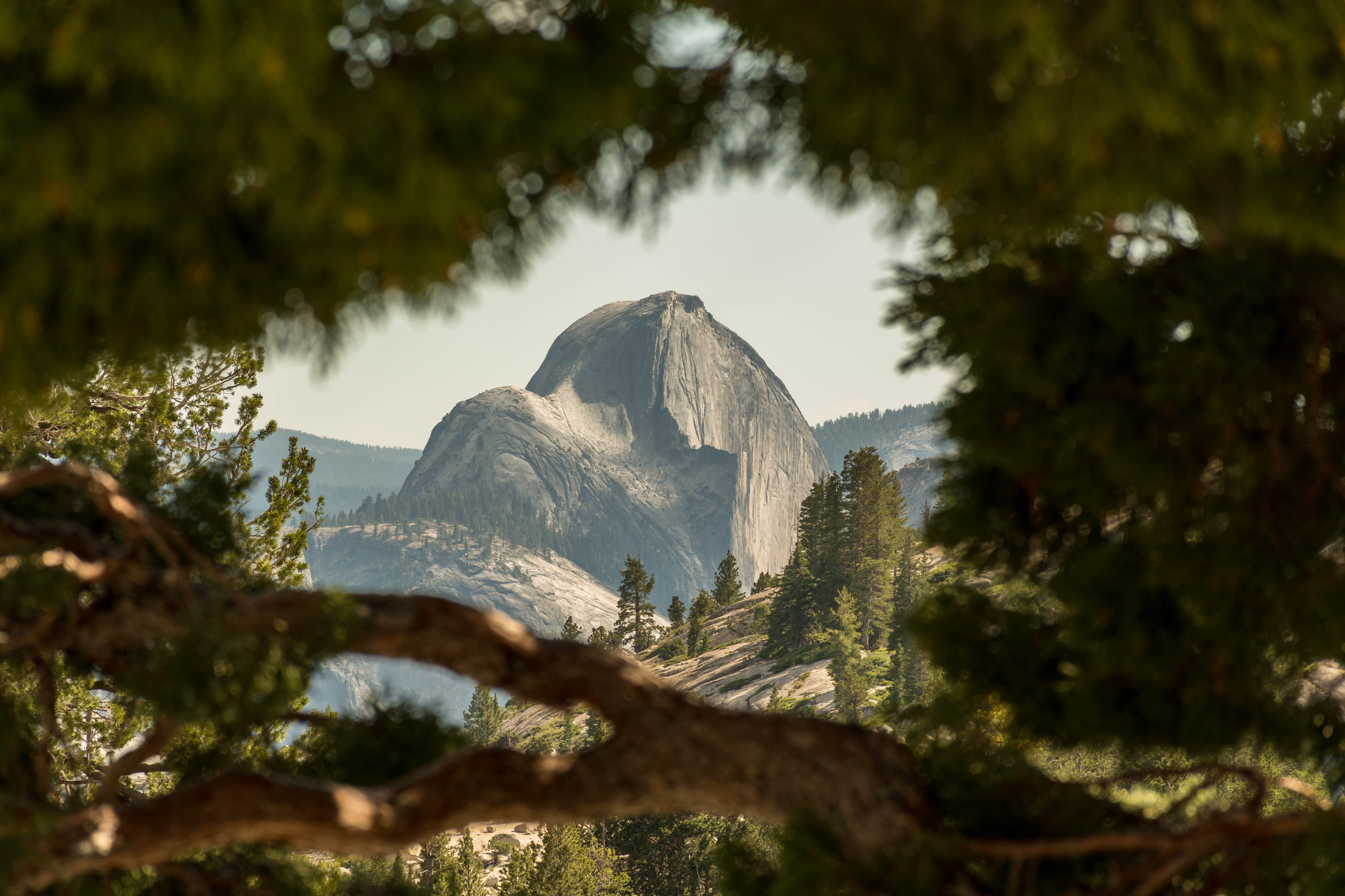 General 6000x4000 Half Dome Yosemite National Park California USA nature rocks rock formation outdoors