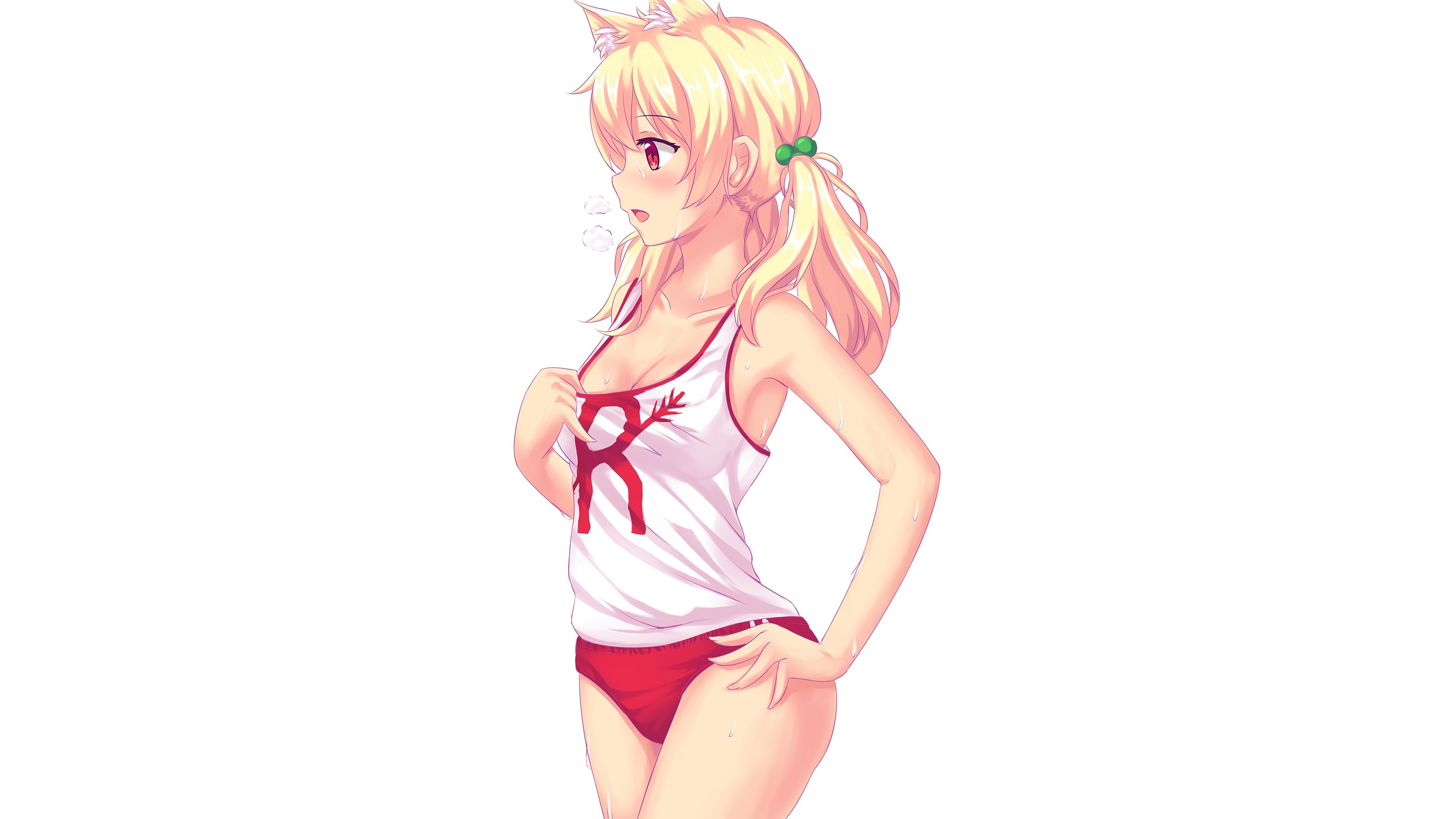 Anime 2845x1600 blonde bloomers cat girl cleavage fast-runner-2024 gym clothes red eyes twintails white background cat ears Naala anime girls