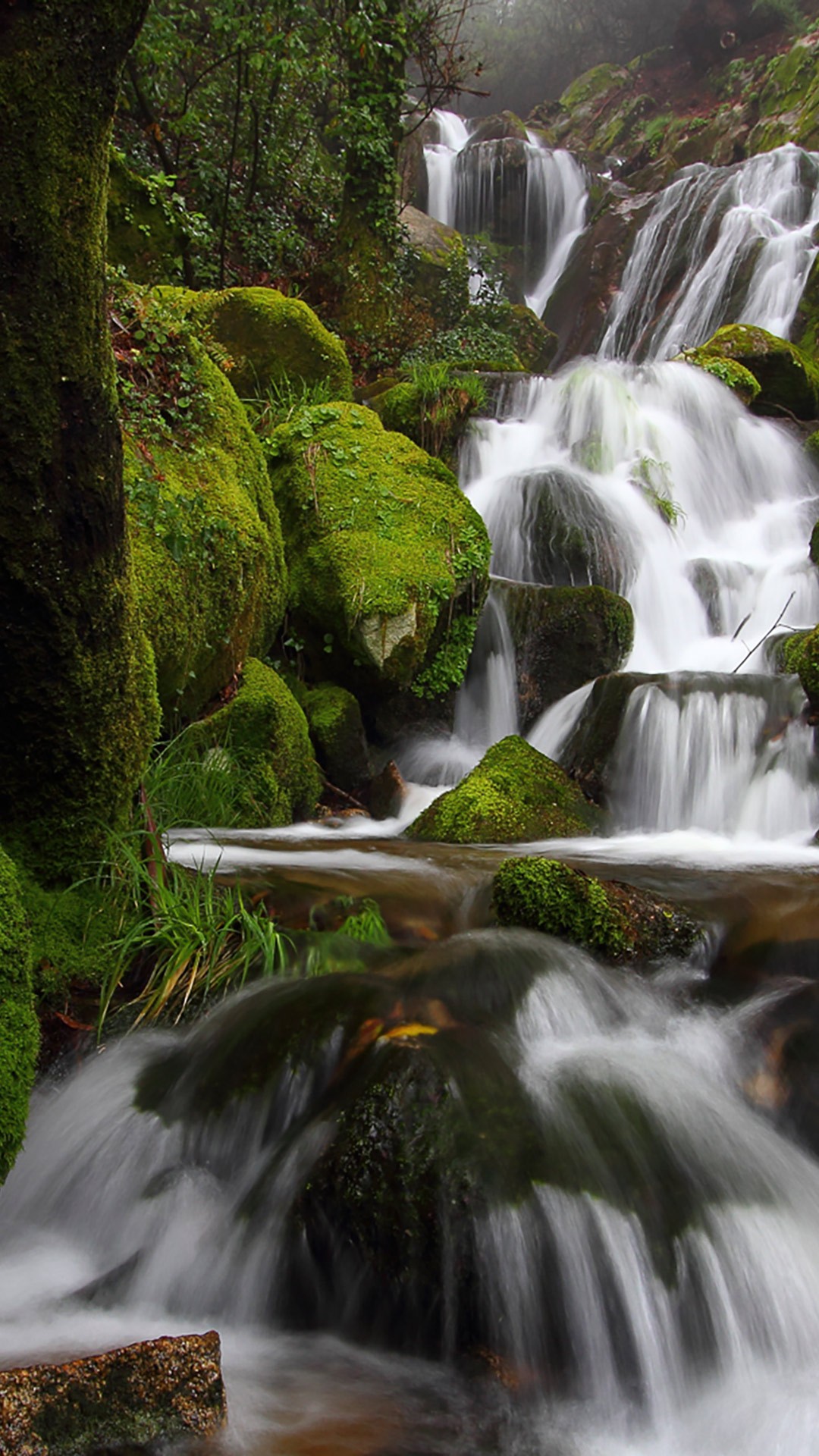 General 1080x1920 photography waterfall moss
