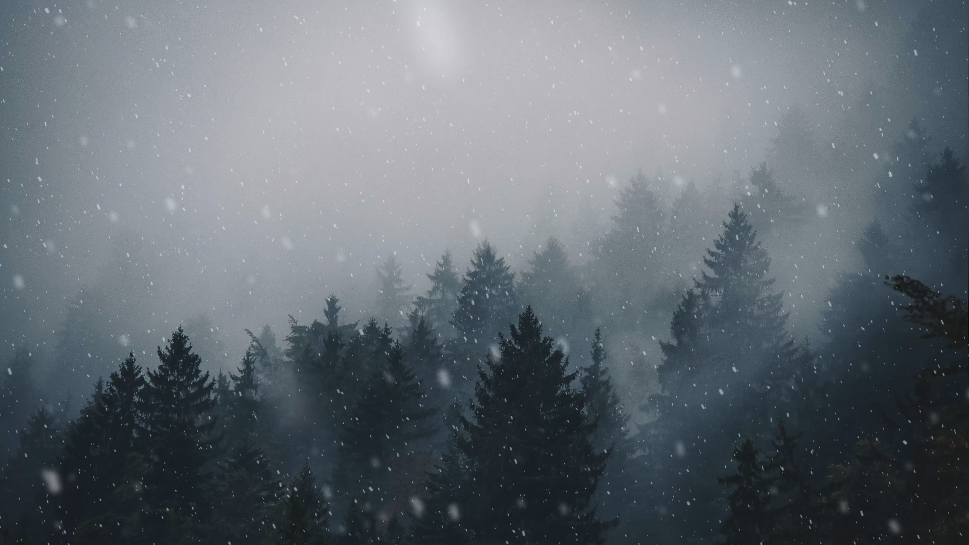 General 1920x1080 forest trees landscape mist snowing overcast winter pine trees