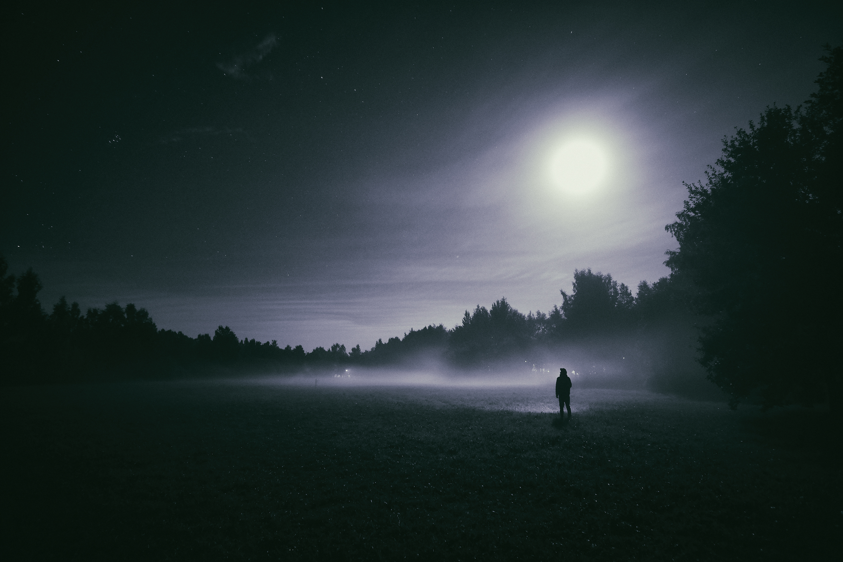 General 2880x1920 landscape nature trees forest field Moon moon rays moonlight standing mist night alone low light