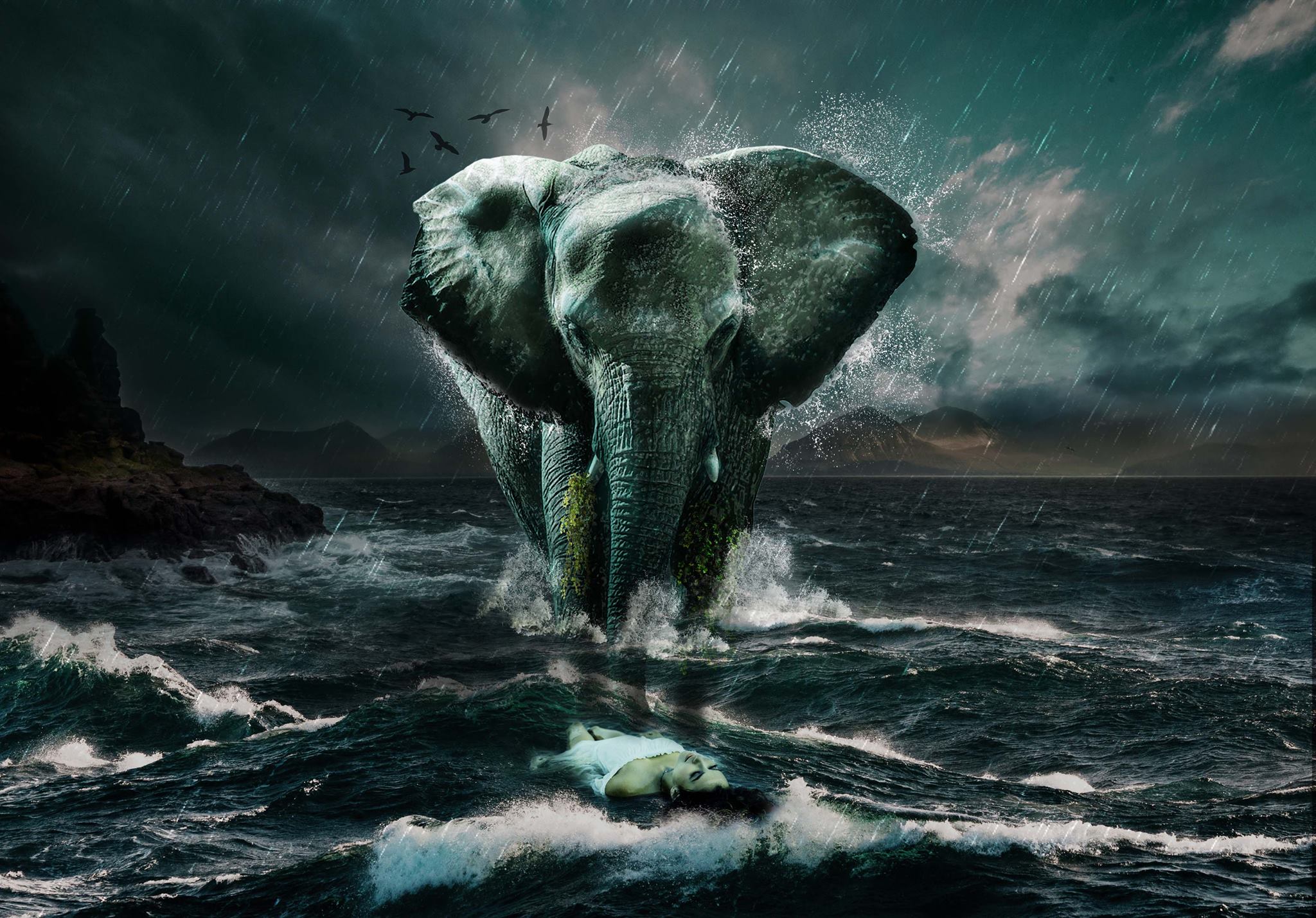 General 2048x1429 nature water elephant animals rain mammals women digital art