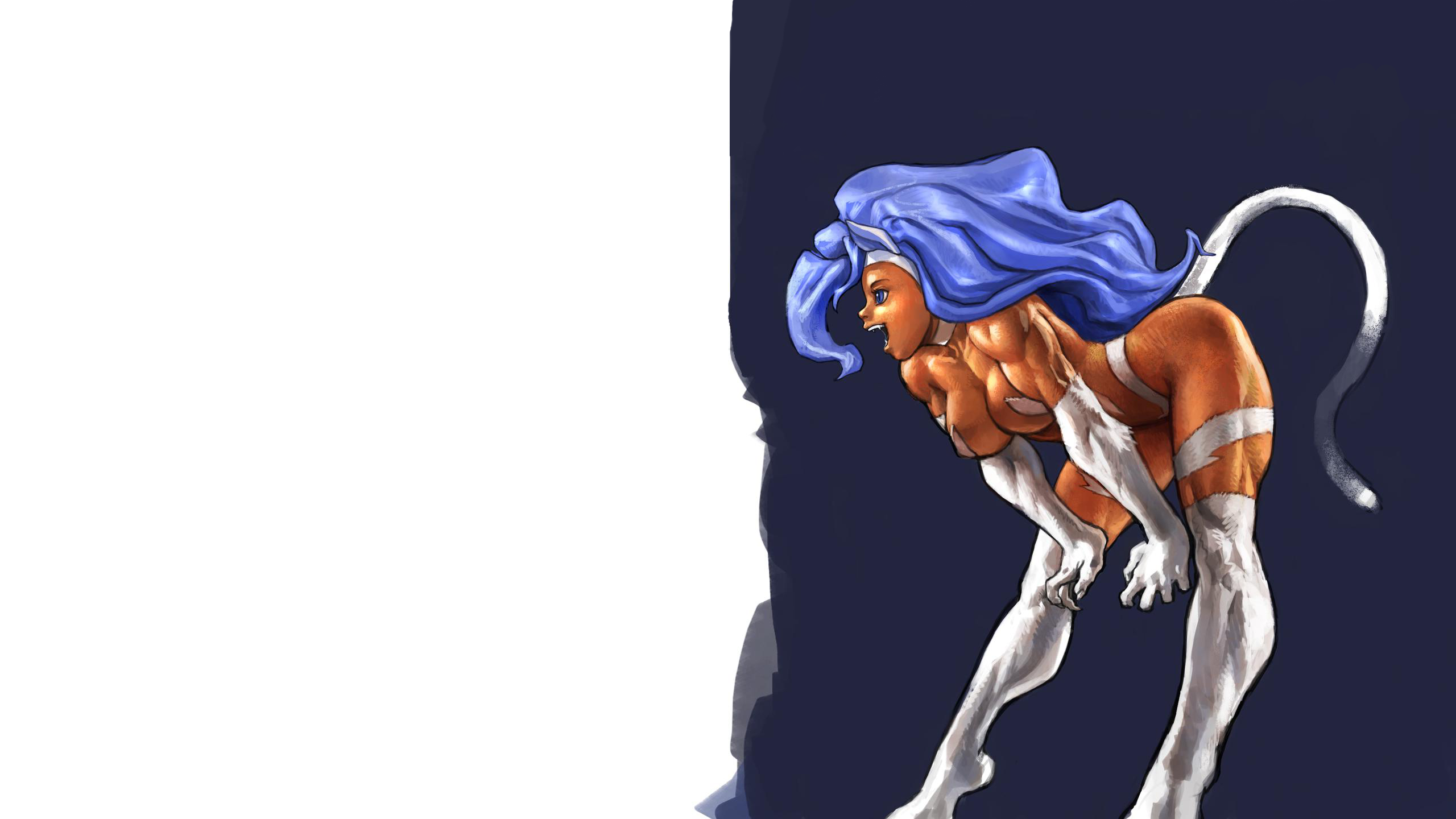 Anime 2560x1440 Darkstalkers video game characters Capcom Marvel vs. Capcom 3 cat girl Felicia (Darkstalkers) blue hair simple background tail