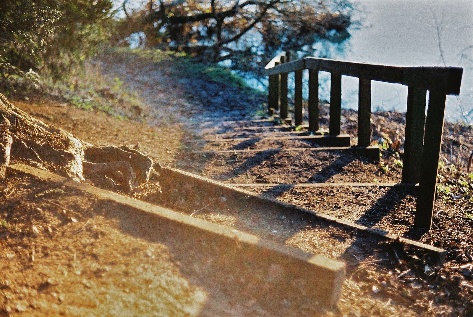 General 1600x1071 golden hour lens flare path stairs dirt