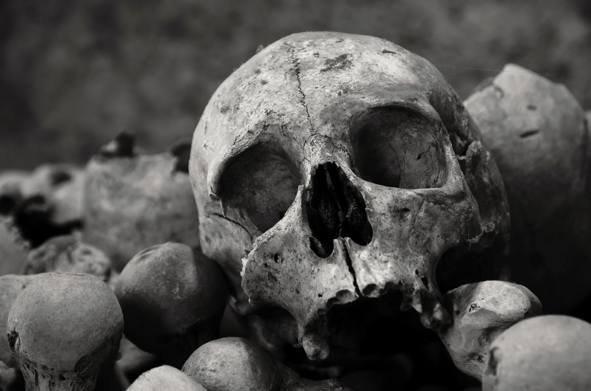 General 2048x1356 monochrome skull bones dark