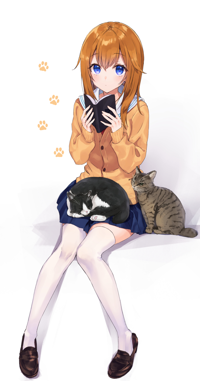 Anime 800x1524 anime anime girls digital art artwork portrait display 2D Rimo cats brunette blue eyes school uniform thigh-highs