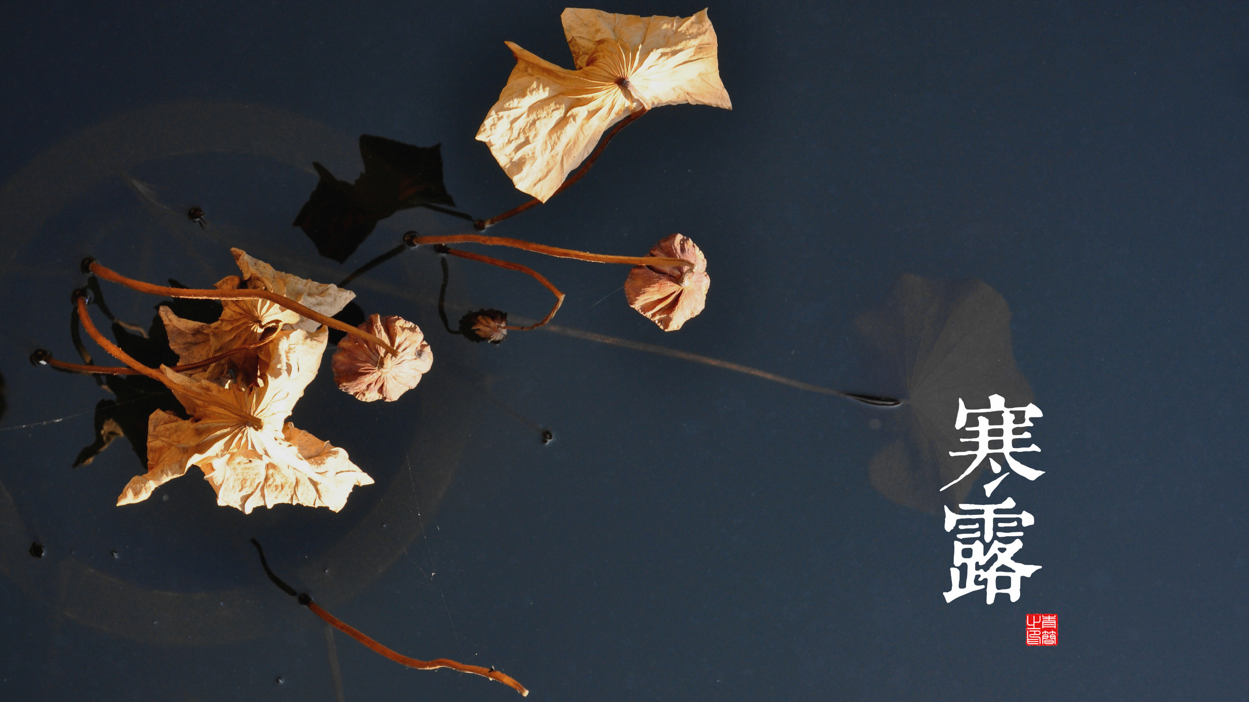 General 2560x1440 seasons digital art Chinese reflection water kanji logo