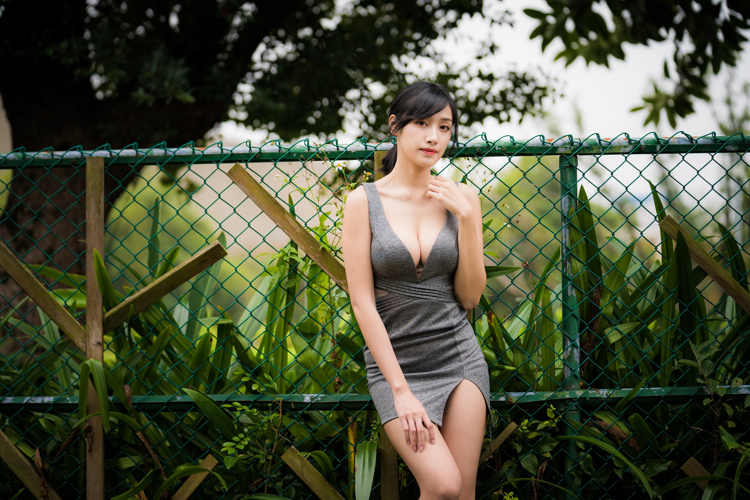 People 2560x1708 fence Asian dark hair women model standing women outdoors plants
