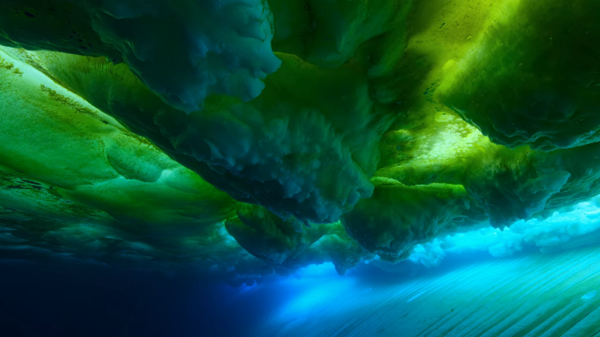 General 1920x1080 nature underwater Pacific Ocean algae water ice